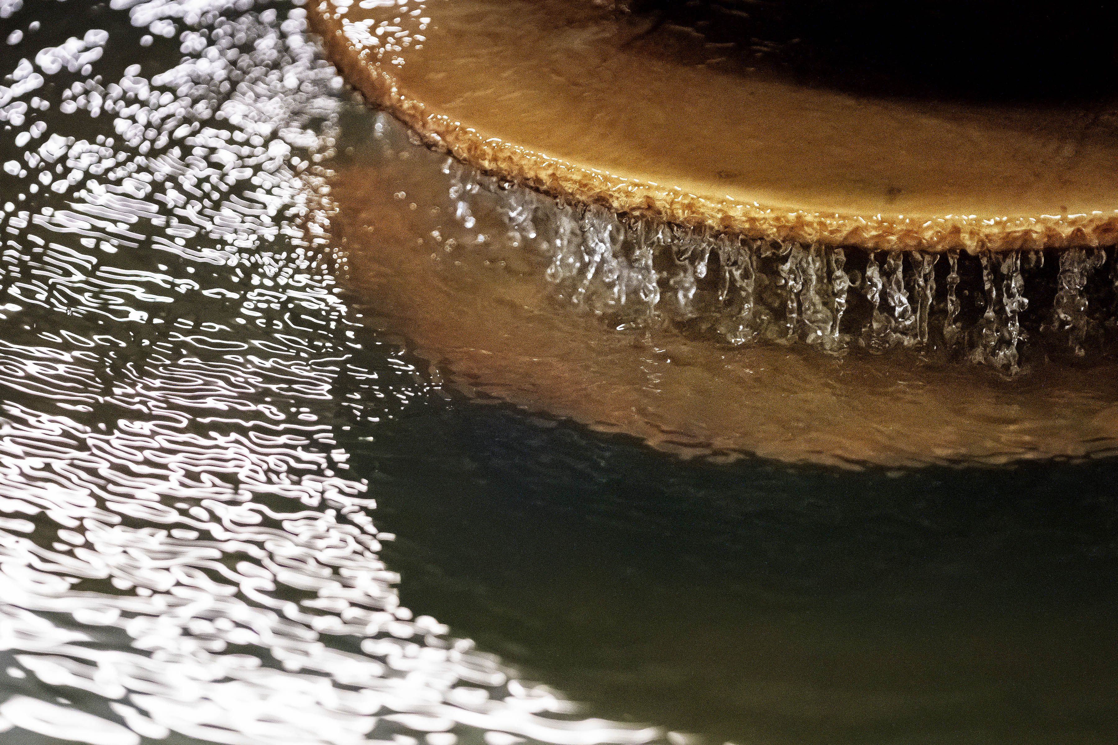 Hertil kommer, at de virker inden for et snævert og tæt reguleret lovgivningsmæssigt område, lyder det blandt andet i indlægget.