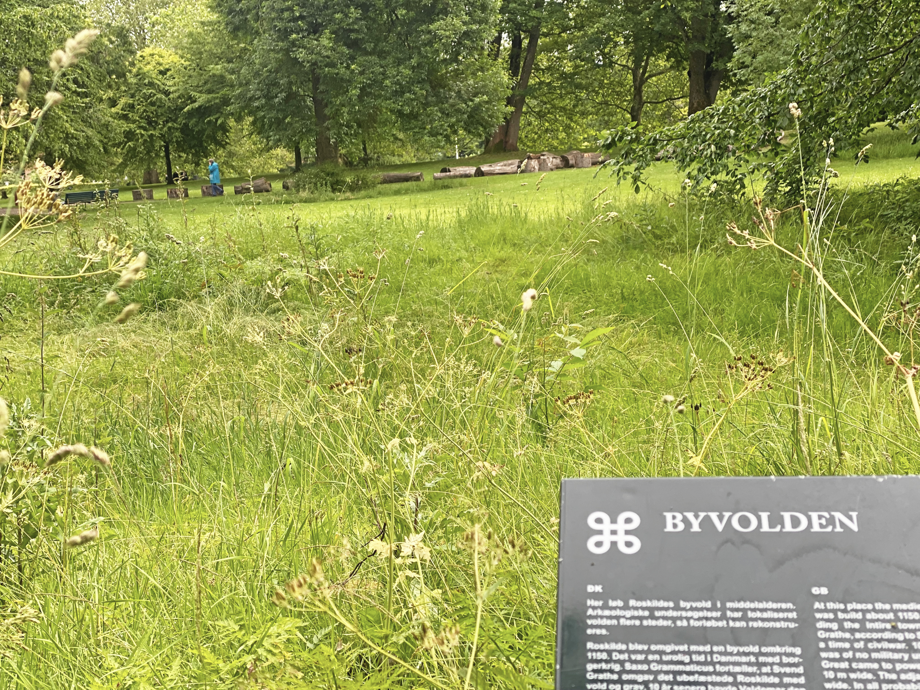 Det kræver lidt detektivarbejde – især i Folkeparkens frodige sommerdragt – at finde resterne af byens vold fra middelalderen. Men den er her, som vidnesbyrd om en by, der var så vigtig, at kongen fik bygget en beskyttende vold.