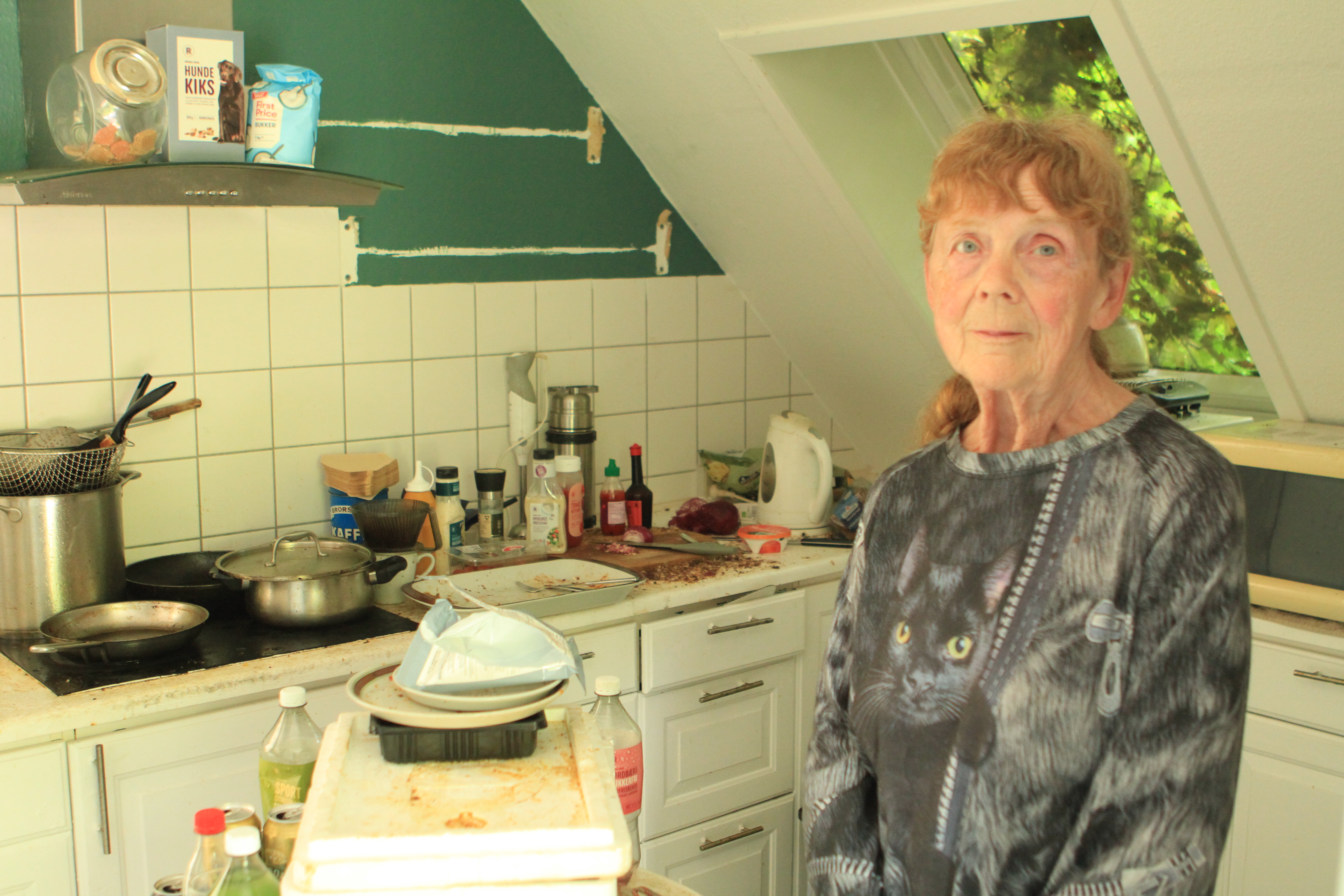 79-årige Ruth valgte den forkerte lejer – 61-årig nægtede at fraflytte ...
