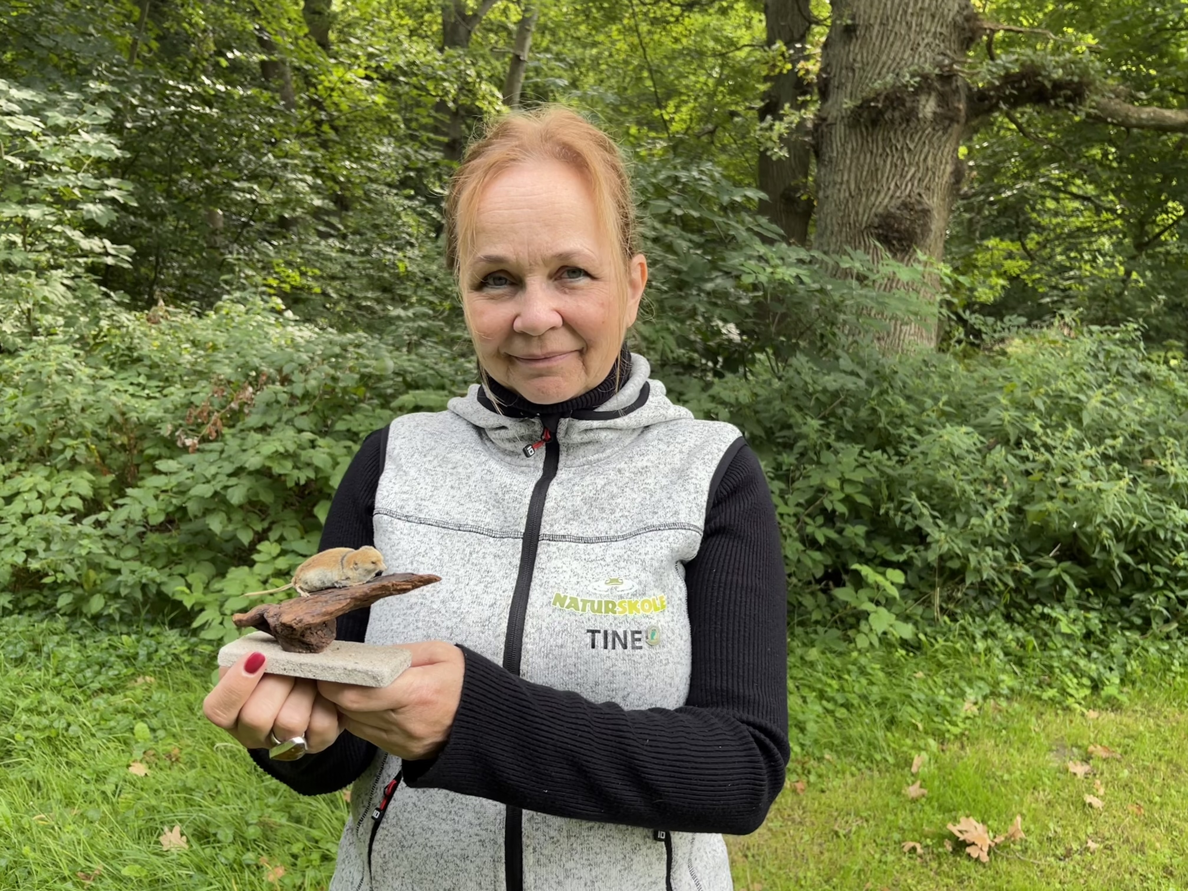 Leder af Slagelse Naturskole, Tine Nord Raahauge, fortæller, at spidsmusen heller ikke smager af mus, og mange dyr derfor efterlader den uden at spise den. Havde den været en mus, var den spist.