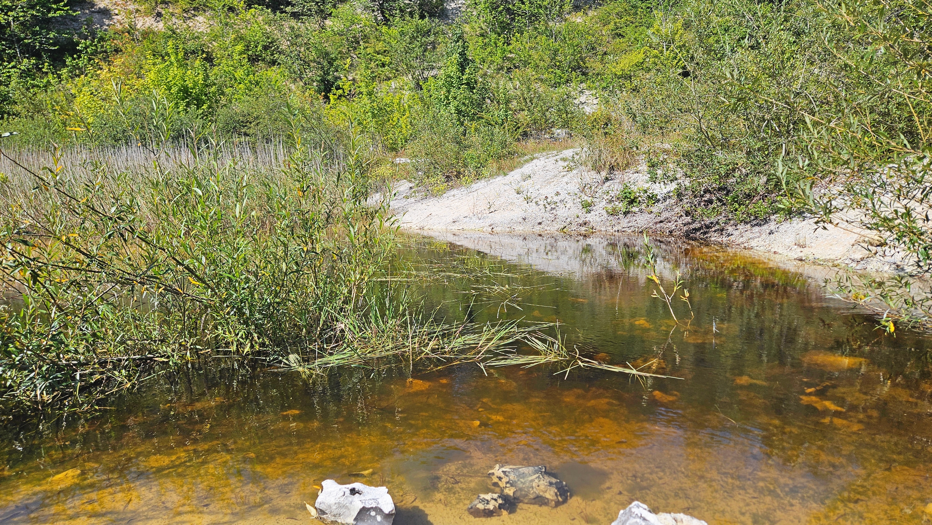 Holtug Kridtbrud. - Lone Hage Rasmussen Holtug Kridtbrud.