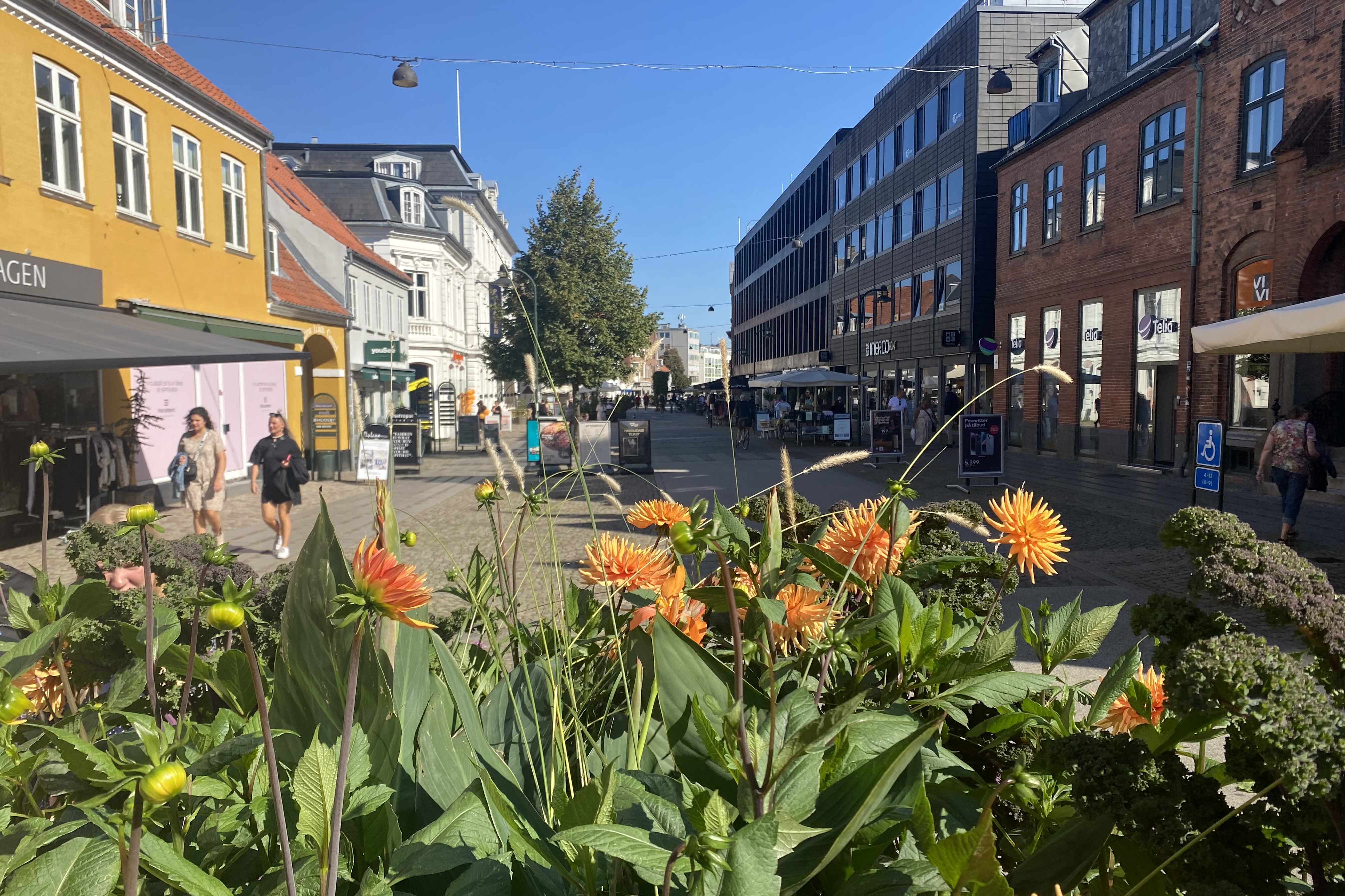 Algade vil være forandret når du kommer tilbage fra efterårsferie.