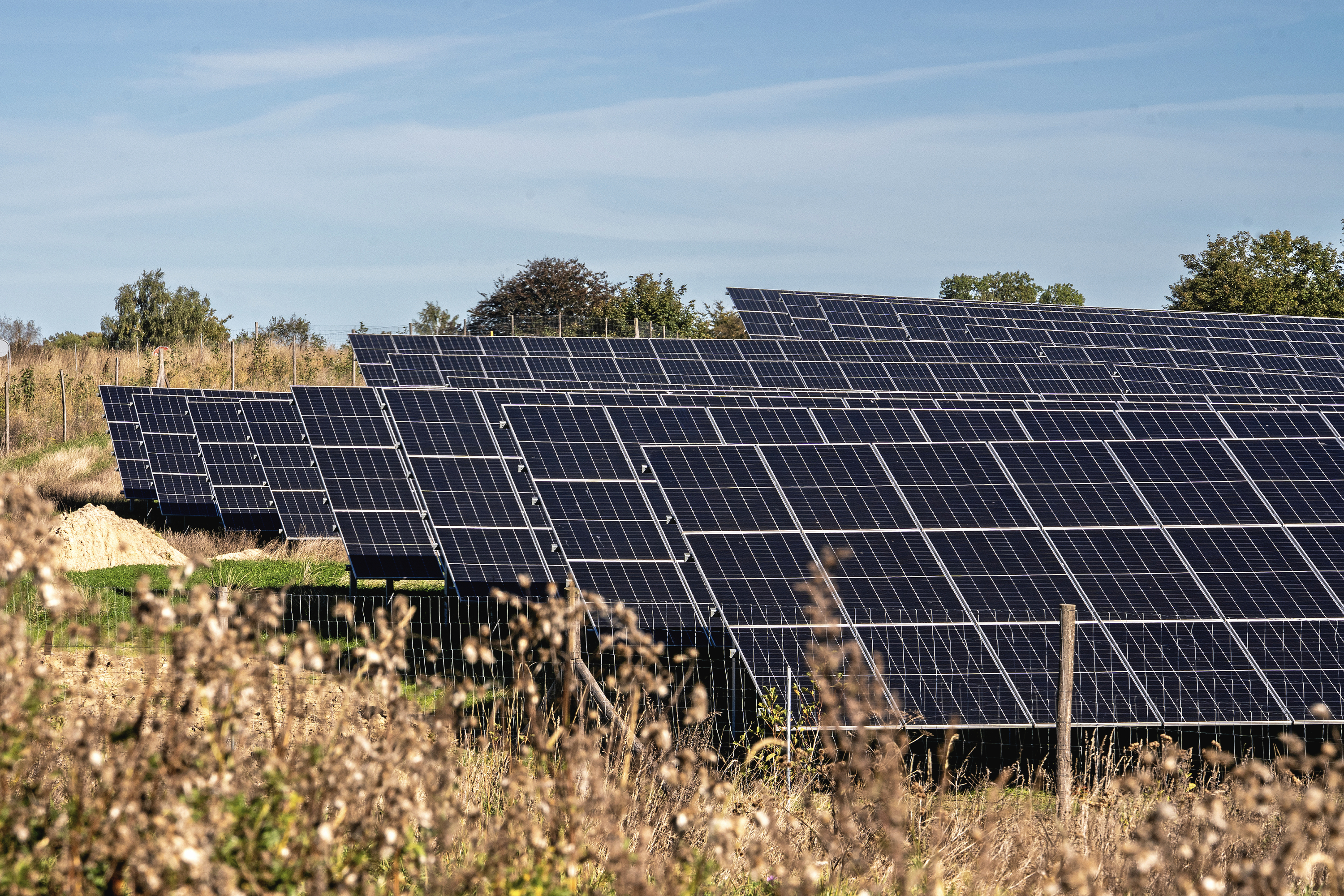 Solcelleparken vil producere energi svarende til ca. 58.000 husstandes årlige forbrug.