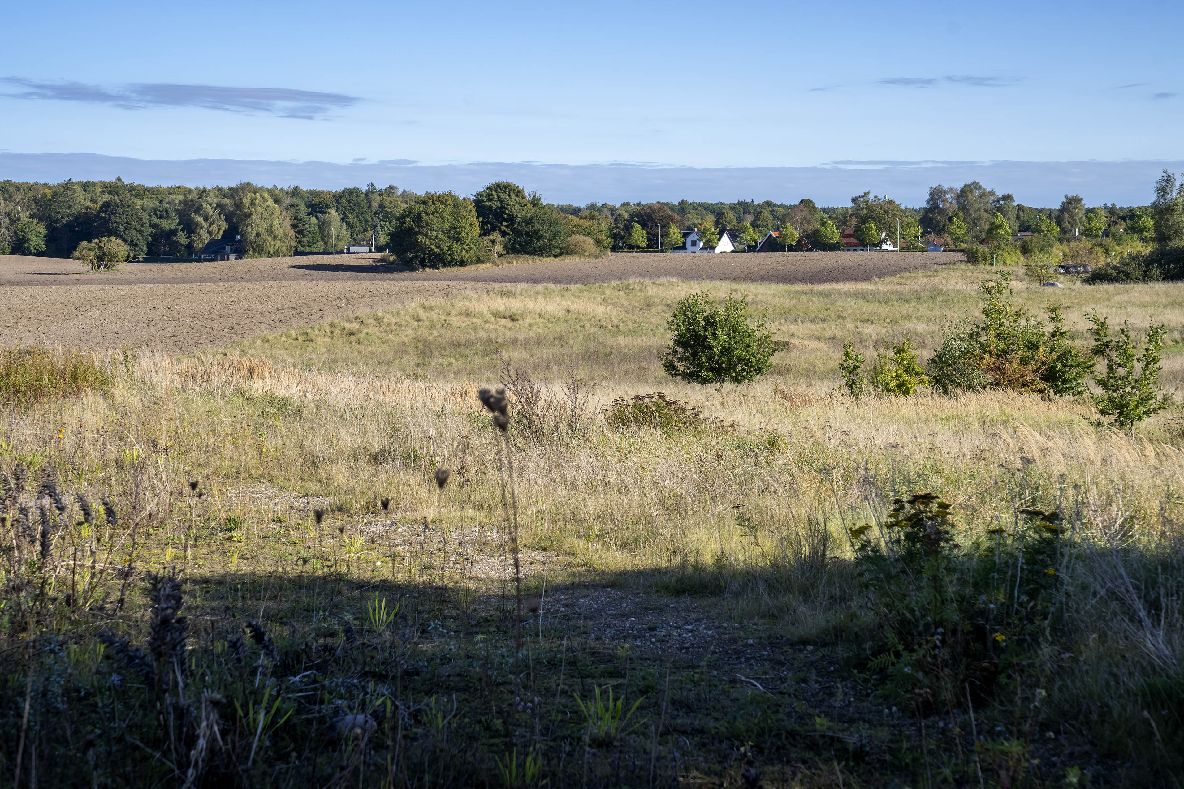 Ny Allerødgårds jorder er de brune marker, der her ses i baggrunden. Hvor meget af markerne, der bliver natur, og hvor meget der bliver erhverv, er blevet den helt varme kartoffel i Blovstrød.