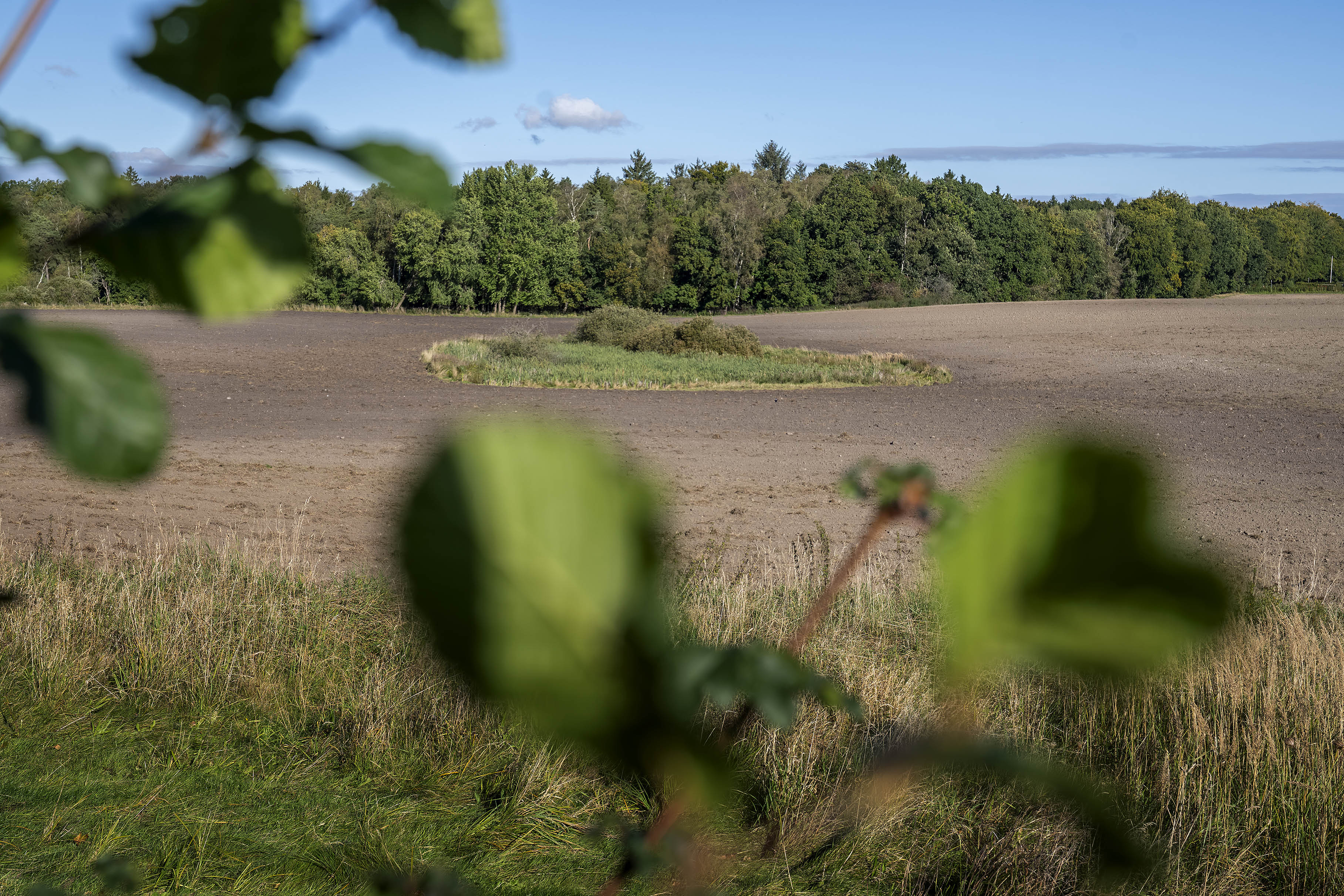 Her kan natur og erhverv komme til at ligge side om side.