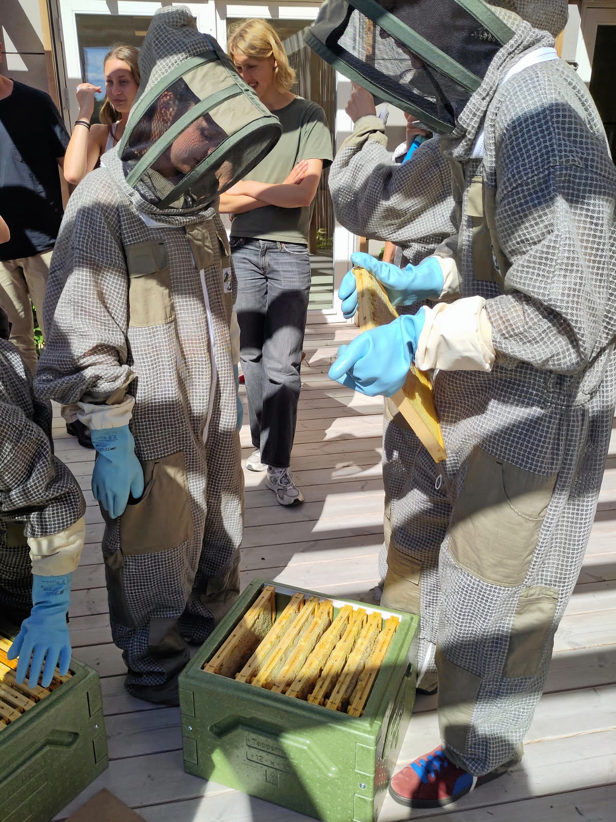 - Målet er ikke blot at producere honning, men at skabe nysgerrighed, viden og respekt for naturen, lyder det gymnasiet. - Presse/Frederiksborg Gymnasium & HF - Målet er ikke blot at producere honning, men at skabe nysgerrighed, viden og respekt for naturen, lyder det gymnasiet.