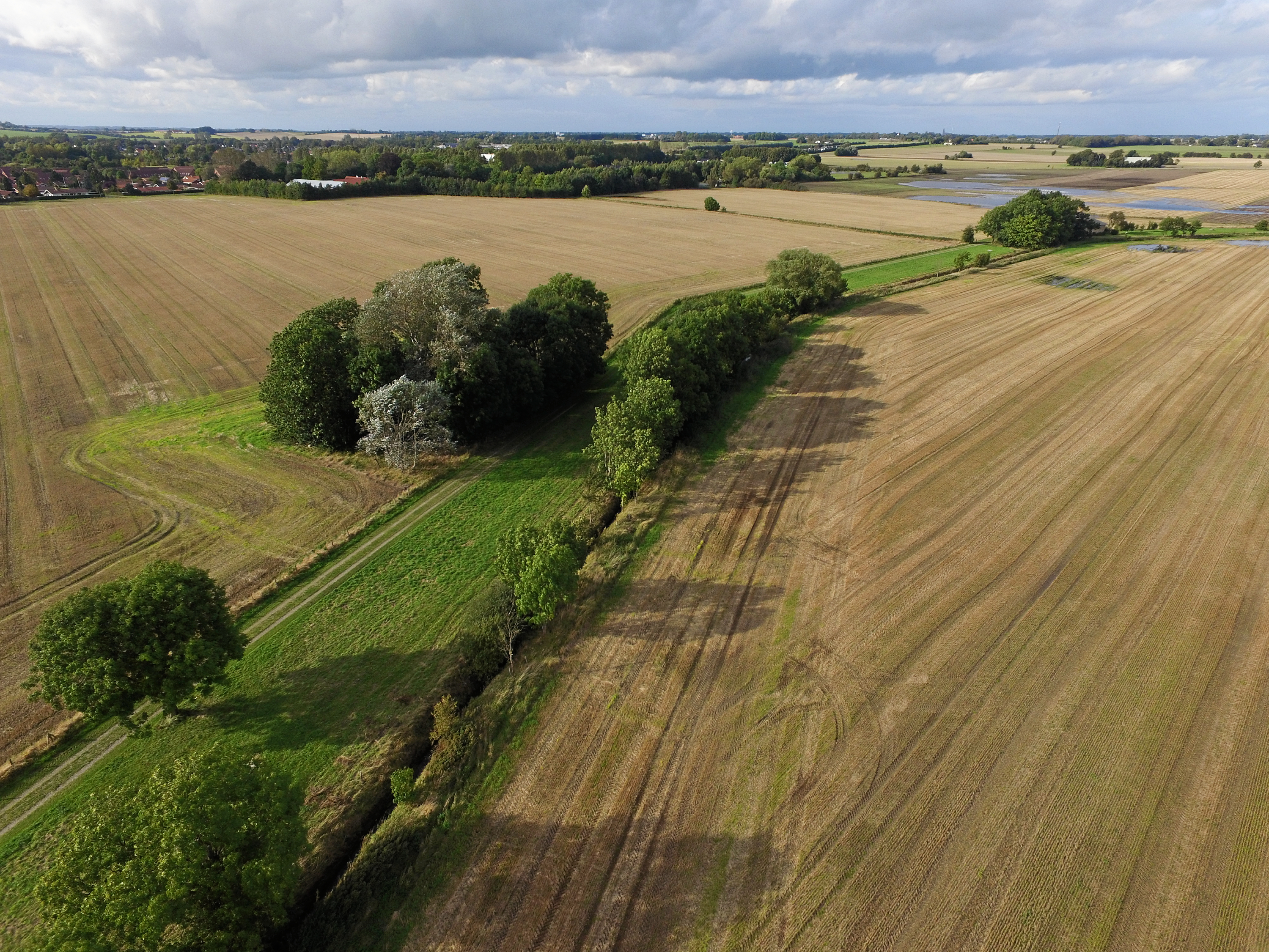 Dyrkede landbrugsarealer langs Solrød Bæk i Havdrup skal nu forvandles til et nyt naturområde.