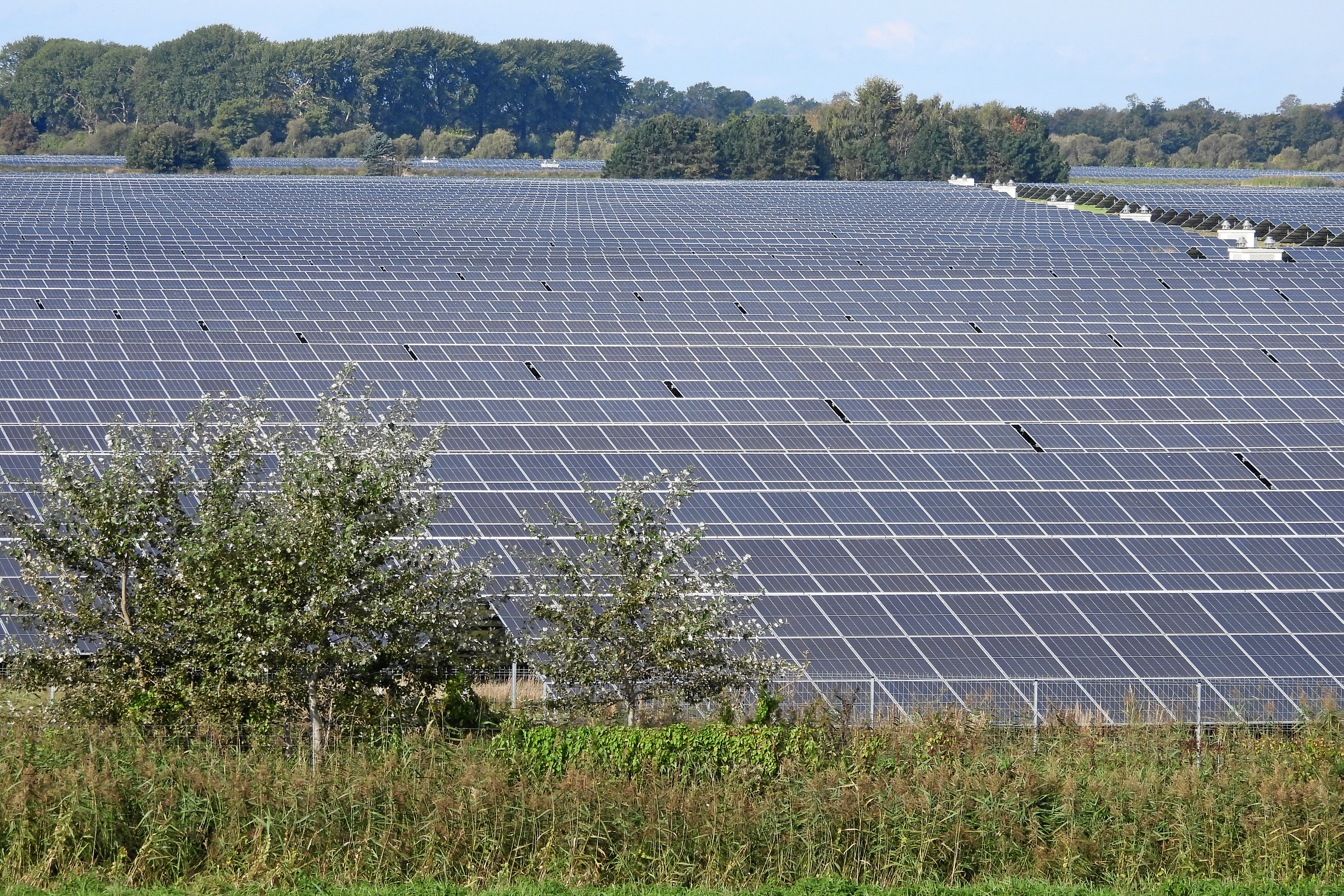 Et forslag om stop for solceller blev afvist af flertallet.