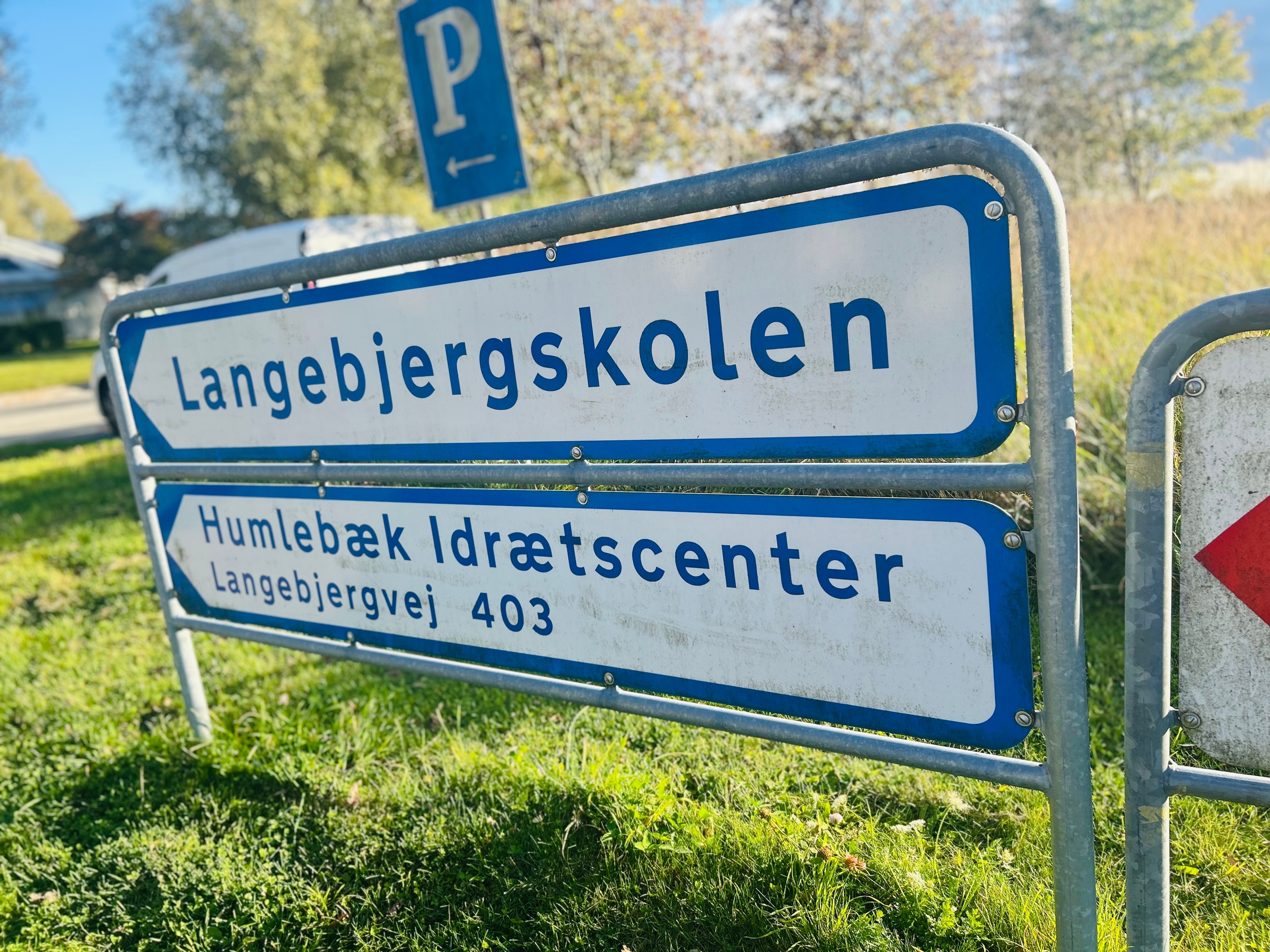 De døde fisk er blevet fundet i en sø bag Langebjergskolen. - Martin Warming De døde fisk er blevet fundet i en sø bag Langebjergskolen.