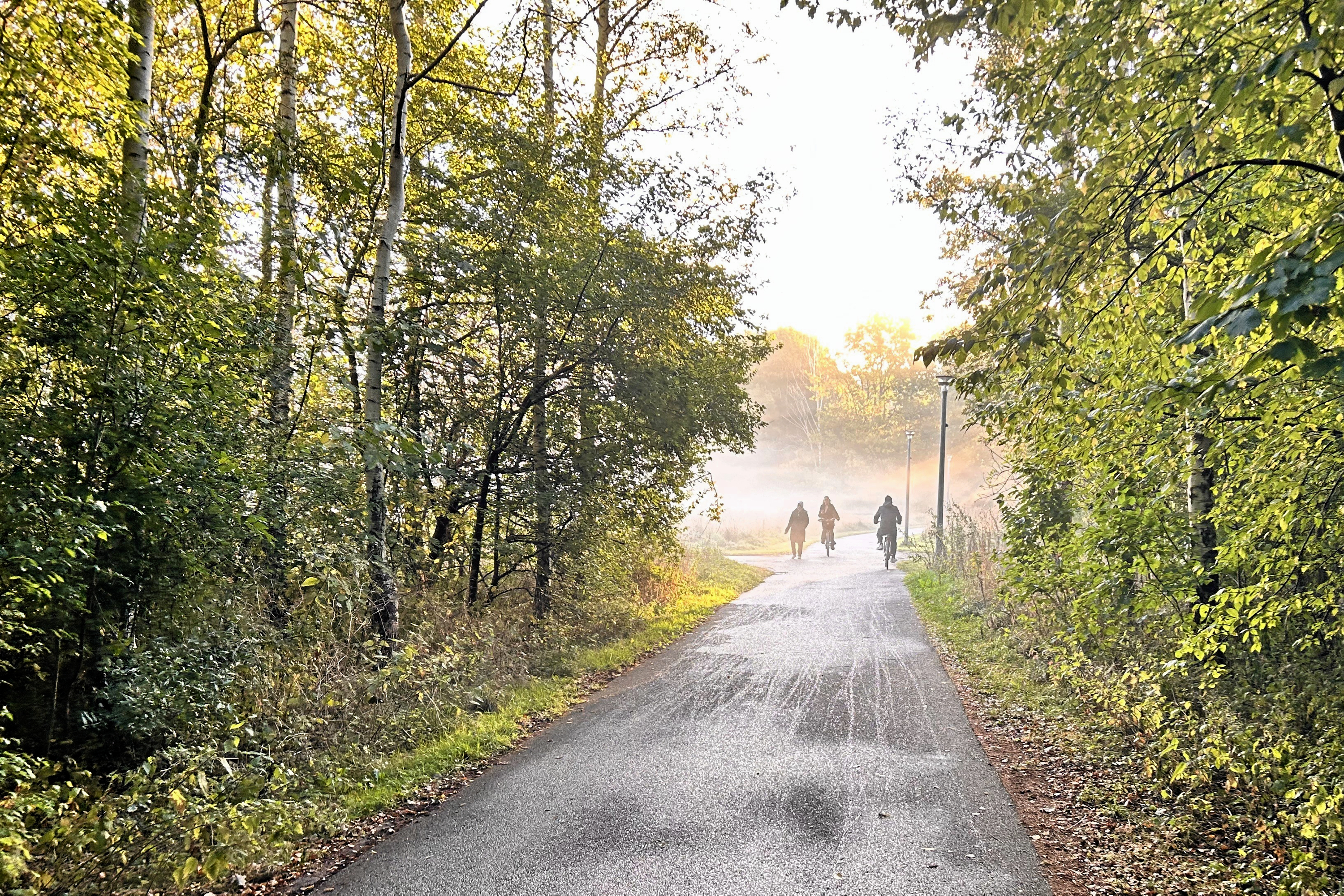 Vanvidscyklisme på stierne skal bekæmpes, mener S. Billedet her er blot til illustration.