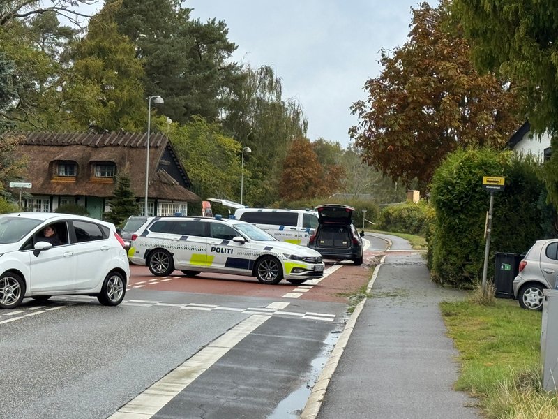 Politiet er massivt til stede på en villavej.