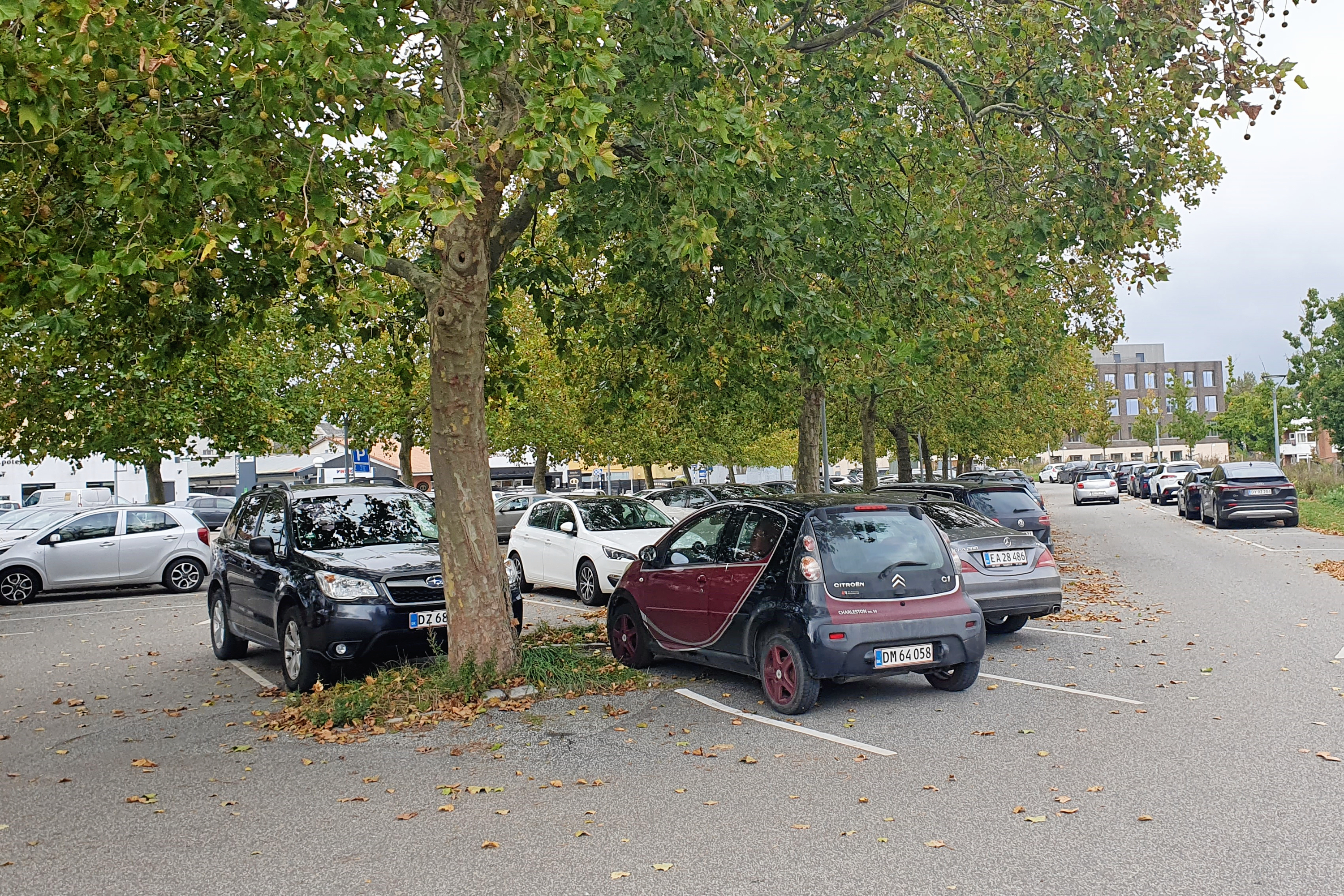Det er ikke nemt at se, men der er faktisk stor forskel på parkeringsreglerne for bilerne, der er parkeret til højre på billedet sammenlignet med dem, der er parkeret til venstre. Men det skal der ændres på nu.