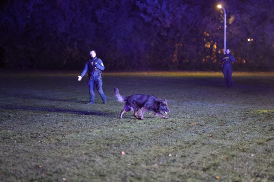 Politihund på arbejde efter bilbrand på Nørrekær i Rødovre torsdag aften. - Presse-fotos.dk Politihund på arbejde efter bilbrand på Nørrekær i Rødovre torsdag aften.