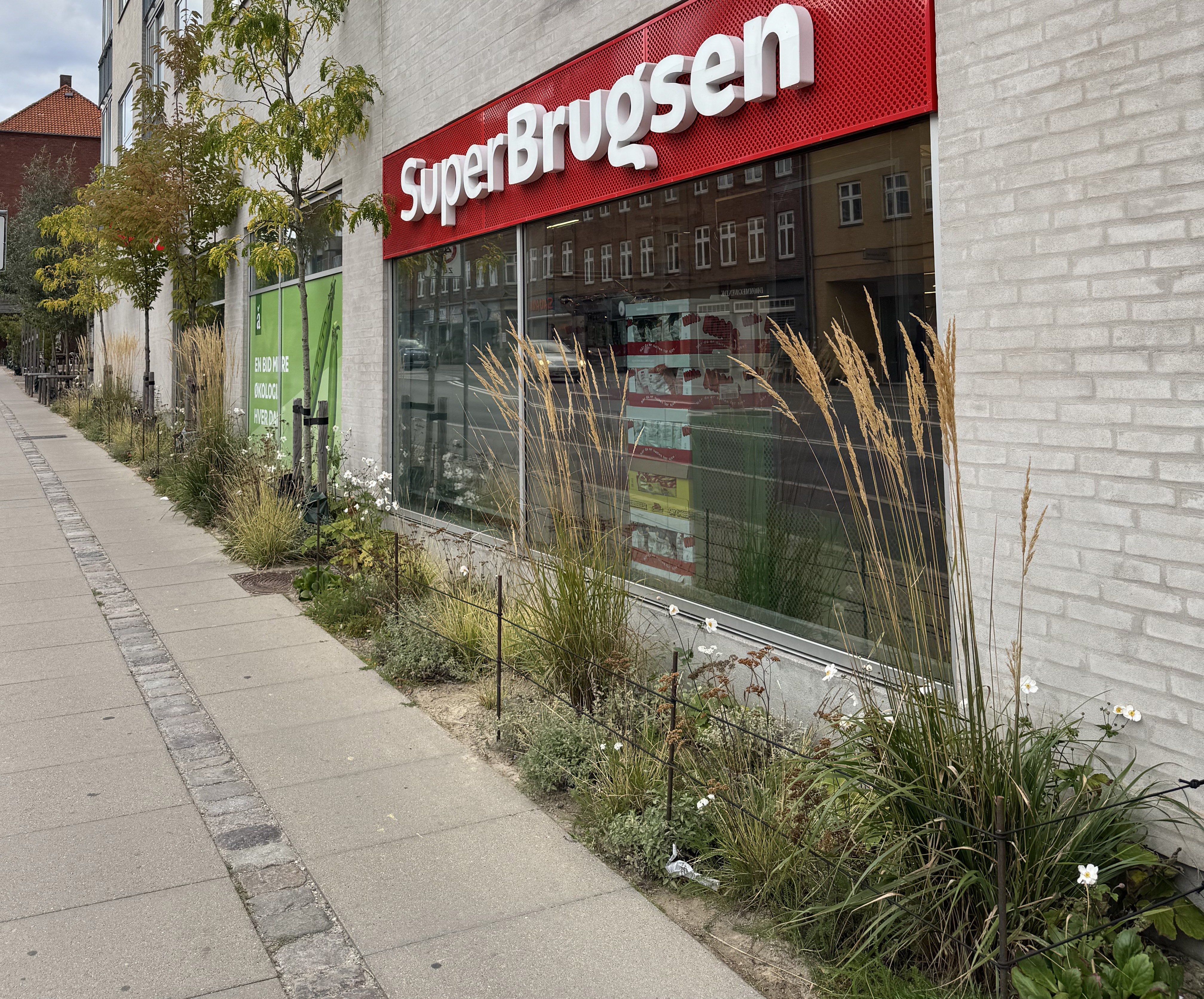 Kasper Brejnholt Bak (R) er imponeret over, hvor meget de har fået ud af en smal stribe langs fortorvet i Søborg. Og han mener, det kun er fantasien, der sætter grænser for, hvor fantastisk det kan blive i Vangede, hvor de har meget mere plads.