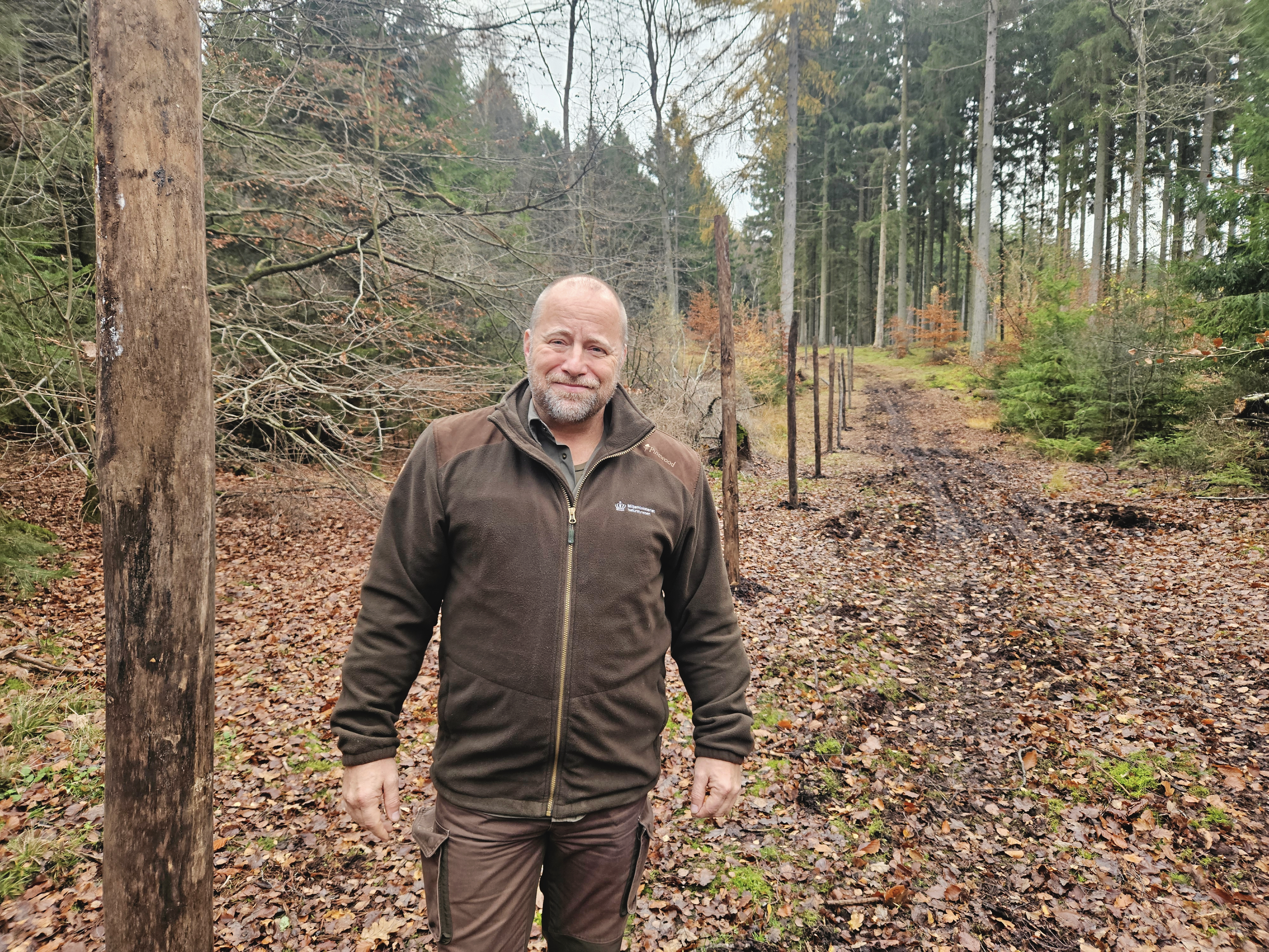Skovrider Søren Oldenburg siger, at Naturstyrelsen går konservativt frem i Gribskov.
