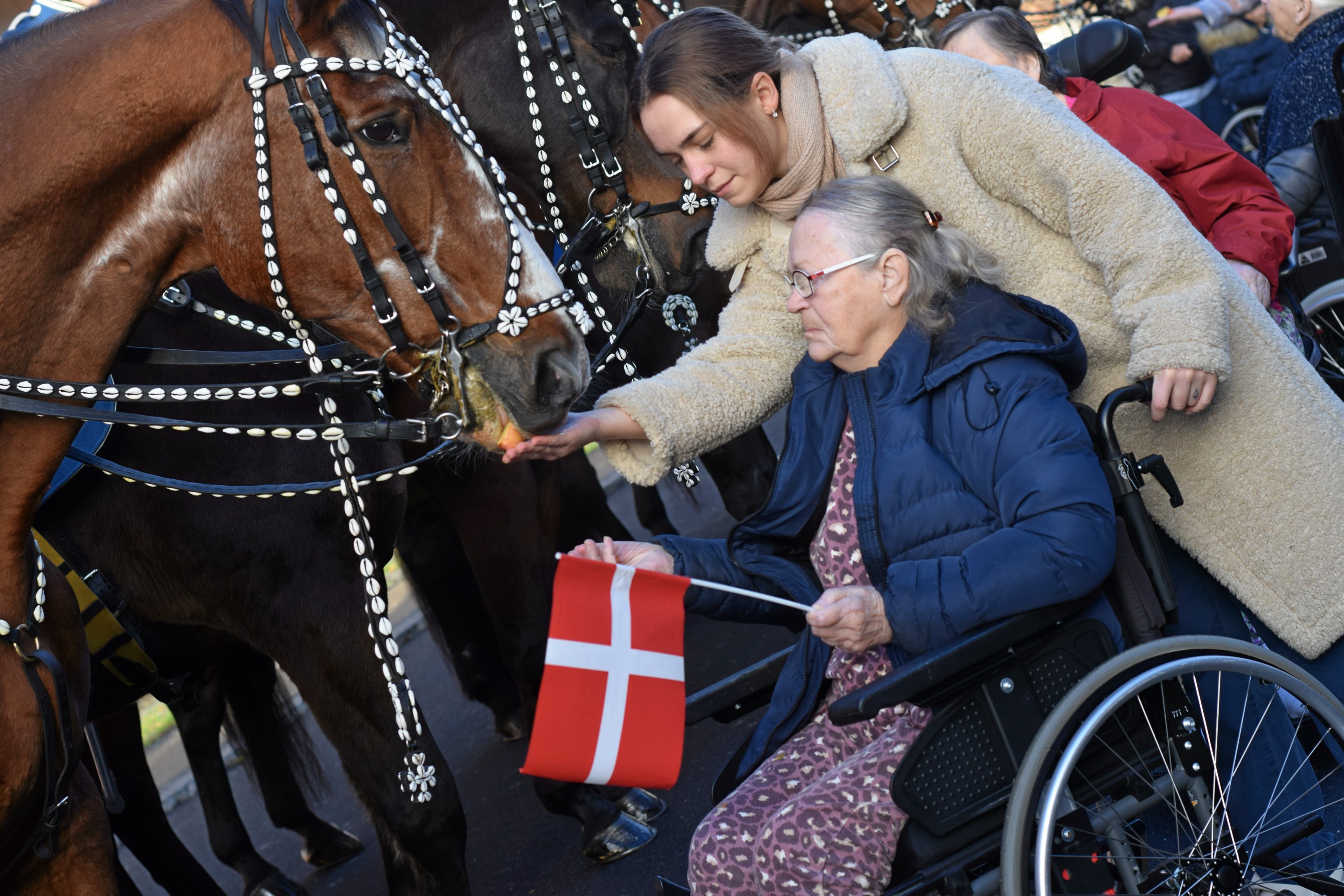Myrli fra Quistgaardsvej klapper en af Gardehusarernes heste og fik også lov at give den en gulerod.