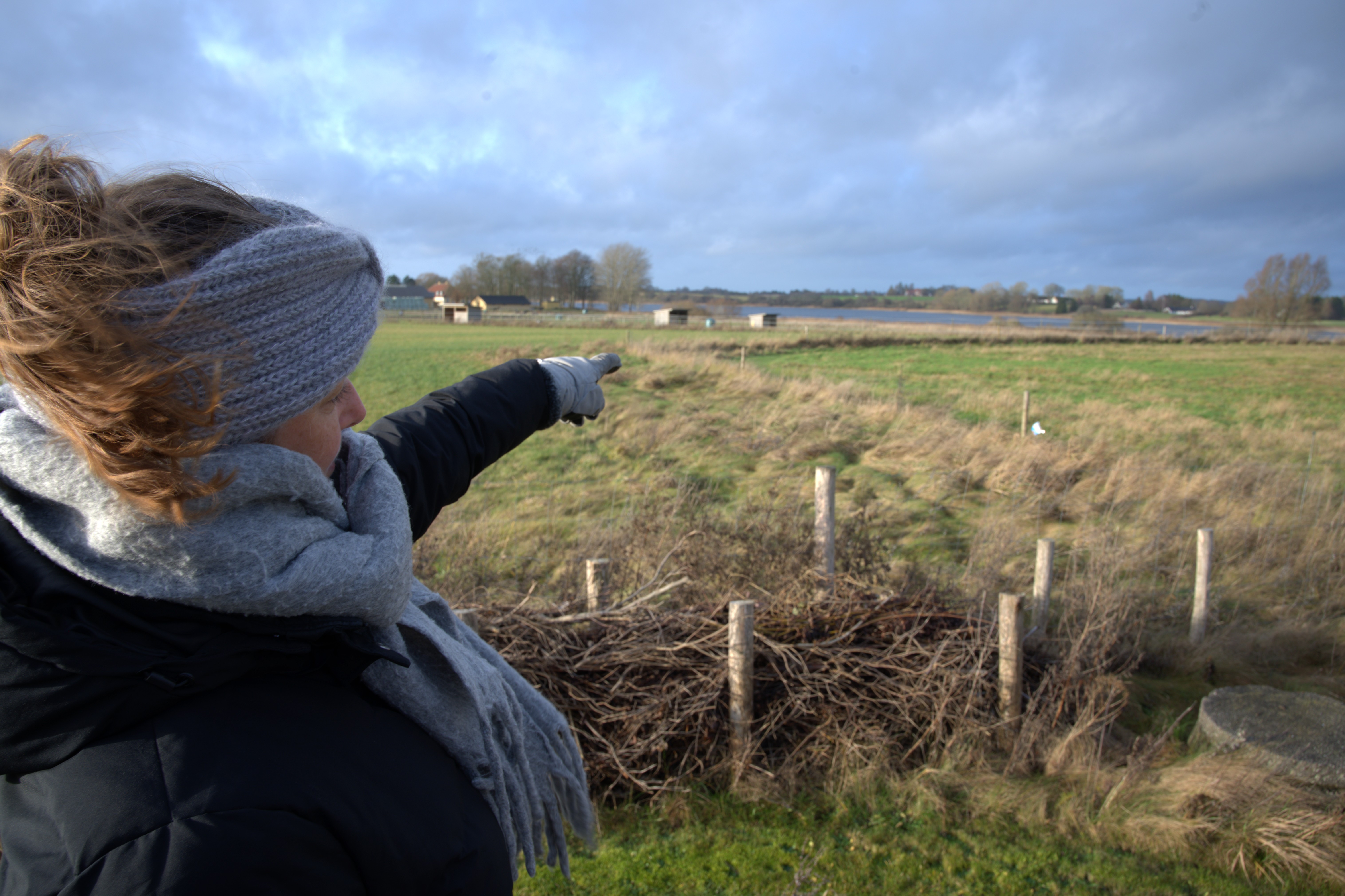 Stine Andersen står på sin egen grund peger ud på den græsmark, hvor der hidtil har været stor aktivitet med mange hunde.