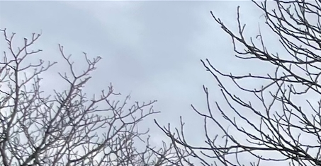 - Vi har fjernet nogle tagsten, så vi kan isolere branden og sørge for, at den ikke breder sig, lyder det fra indsatsleder på stedet. - Søren Øhlers - Vi har fjernet nogle tagsten, så vi kan isolere branden og sørge for, at den ikke breder sig, lyder det fra indsatsleder på stedet.