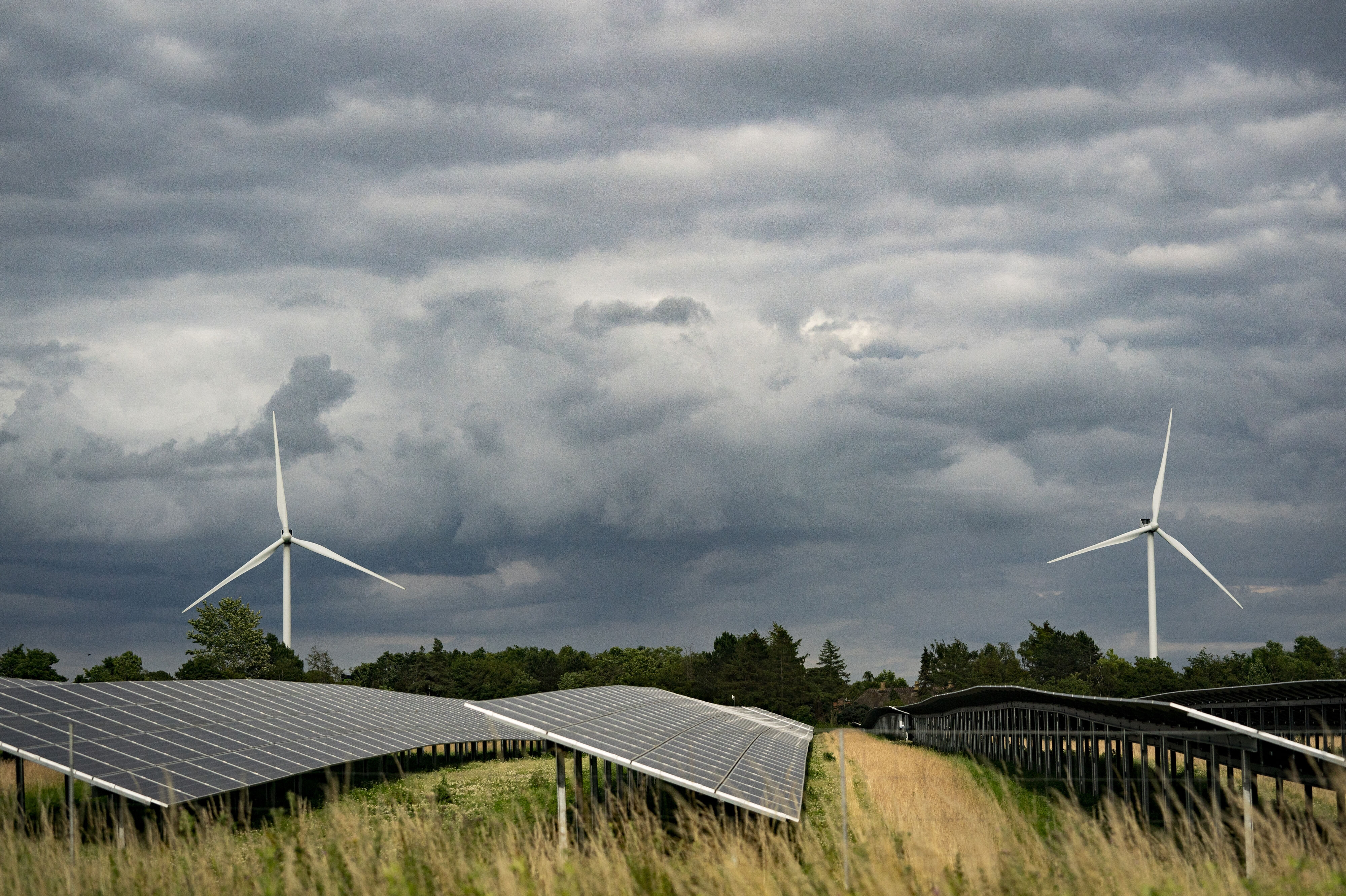 I løbet af foråret og sommeren har forbrugerne i Vestdanmark oplevet rekordmange timer med negative elpriser. Det skyldes ifølge Green Power Denmark en høj produktion fra solcellerne. (Arkivfoto).