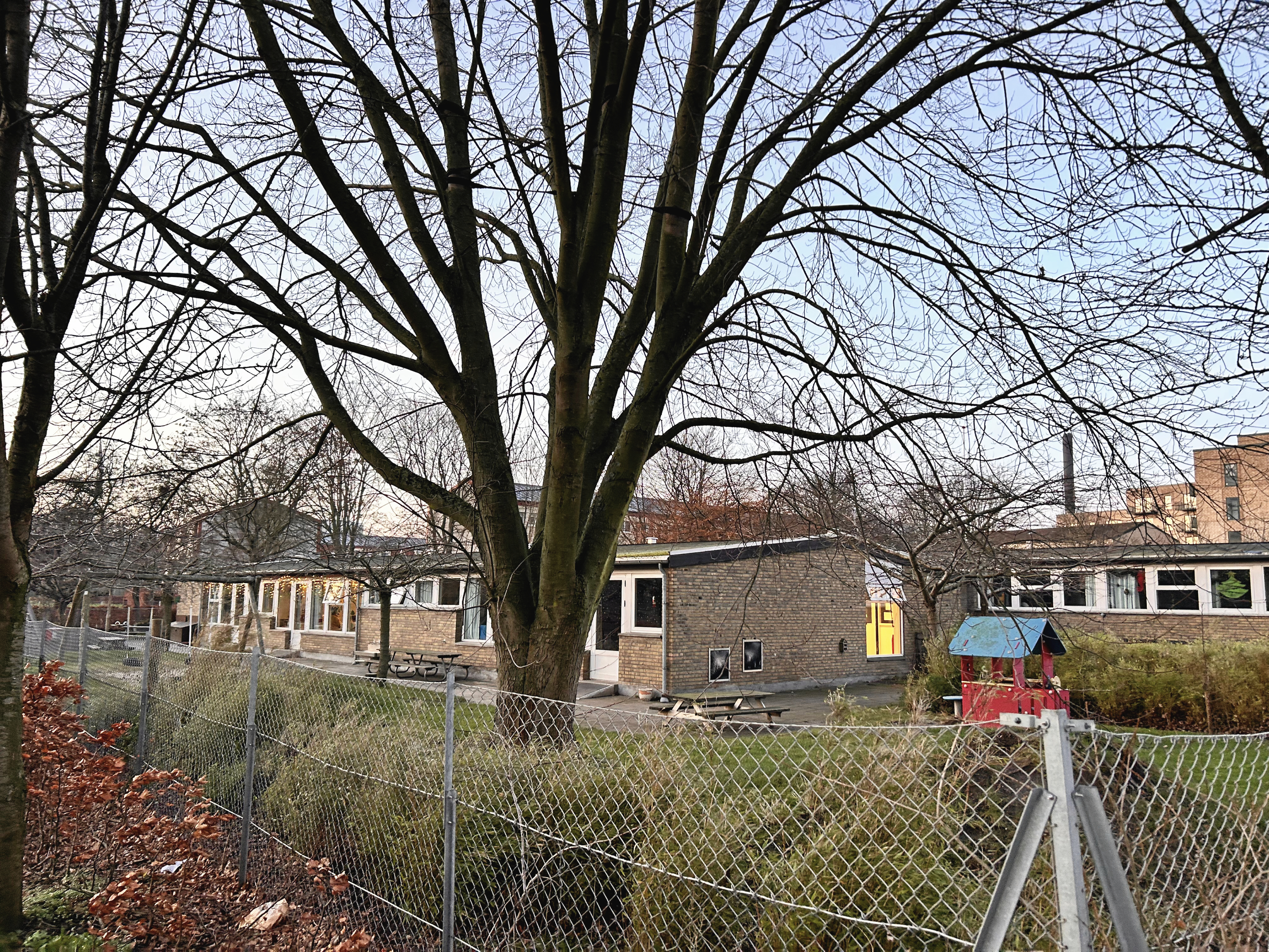 Solsikken har i mange år været en tryg base for de mindste børn i Rødovre.