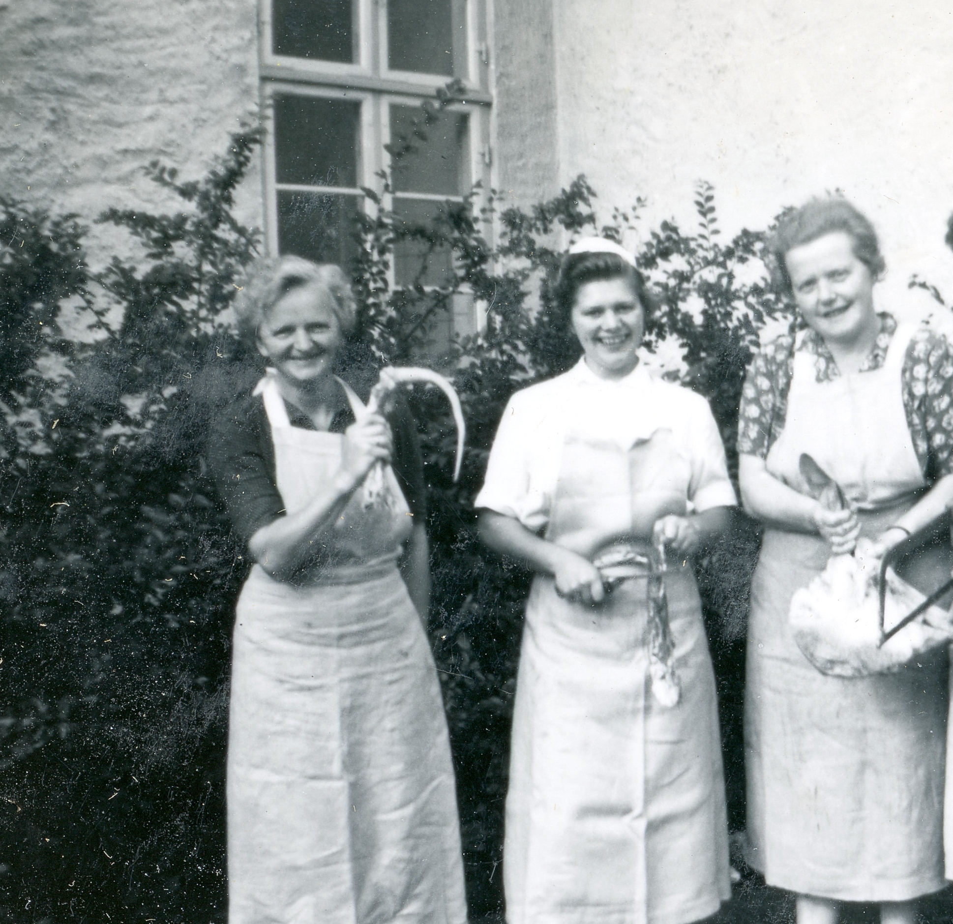 Køkkenpersonalet præsenteret stolt svinekød fra egen avl. Indtil 1963 leverede sygehusets egen svinestald 5-6 tons kød årligt. - Lokalhistorisk Arkiv Hillerød Køkkenpersonalet præsenteret stolt svinekød fra egen avl. Indtil 1963 leverede sygehusets egen svinestald 5-6 tons kød årligt.