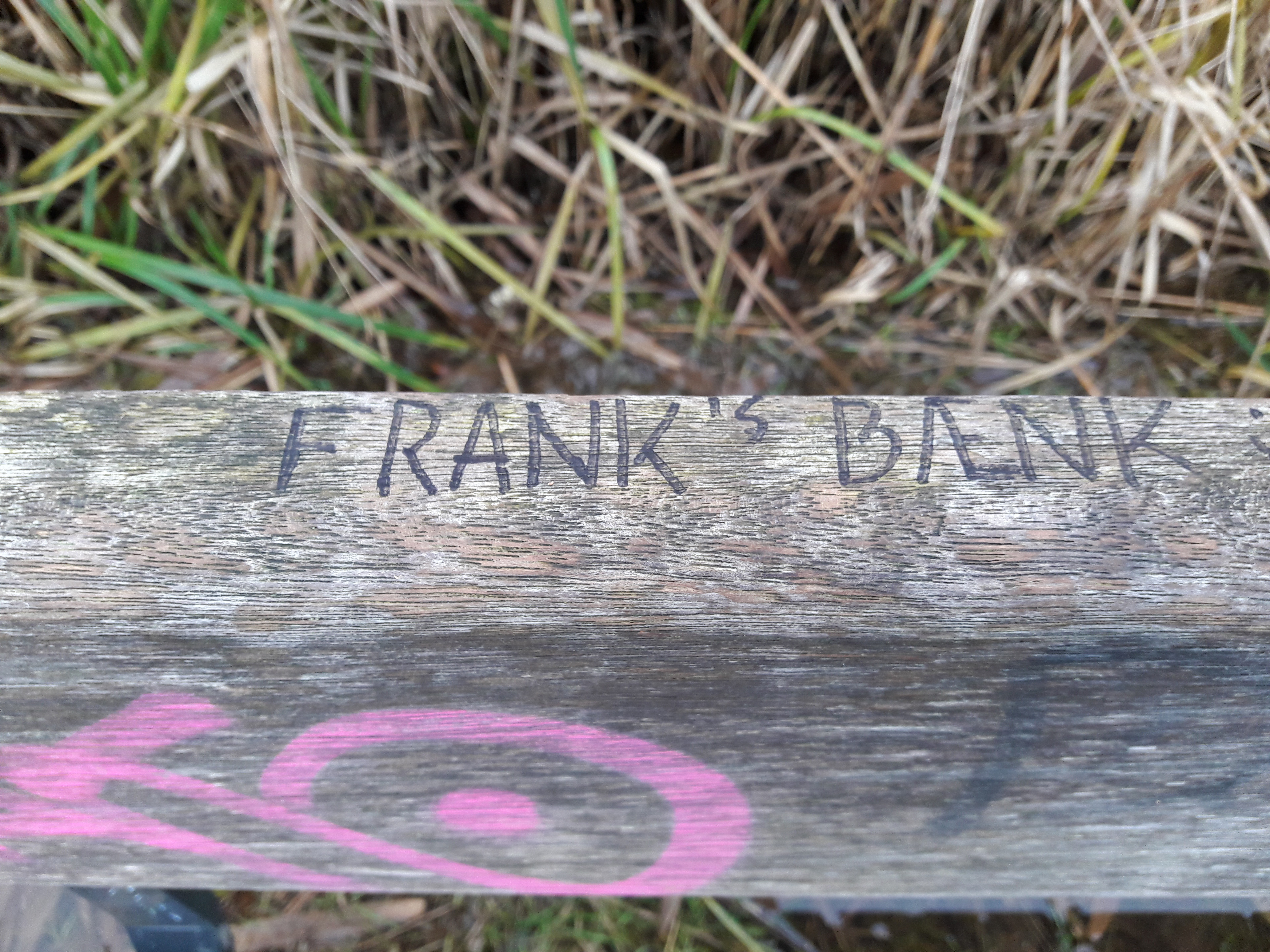 Frank Desting havde sin 'egen' bænk ved Gentofte Sø, hvor han ofte sad.