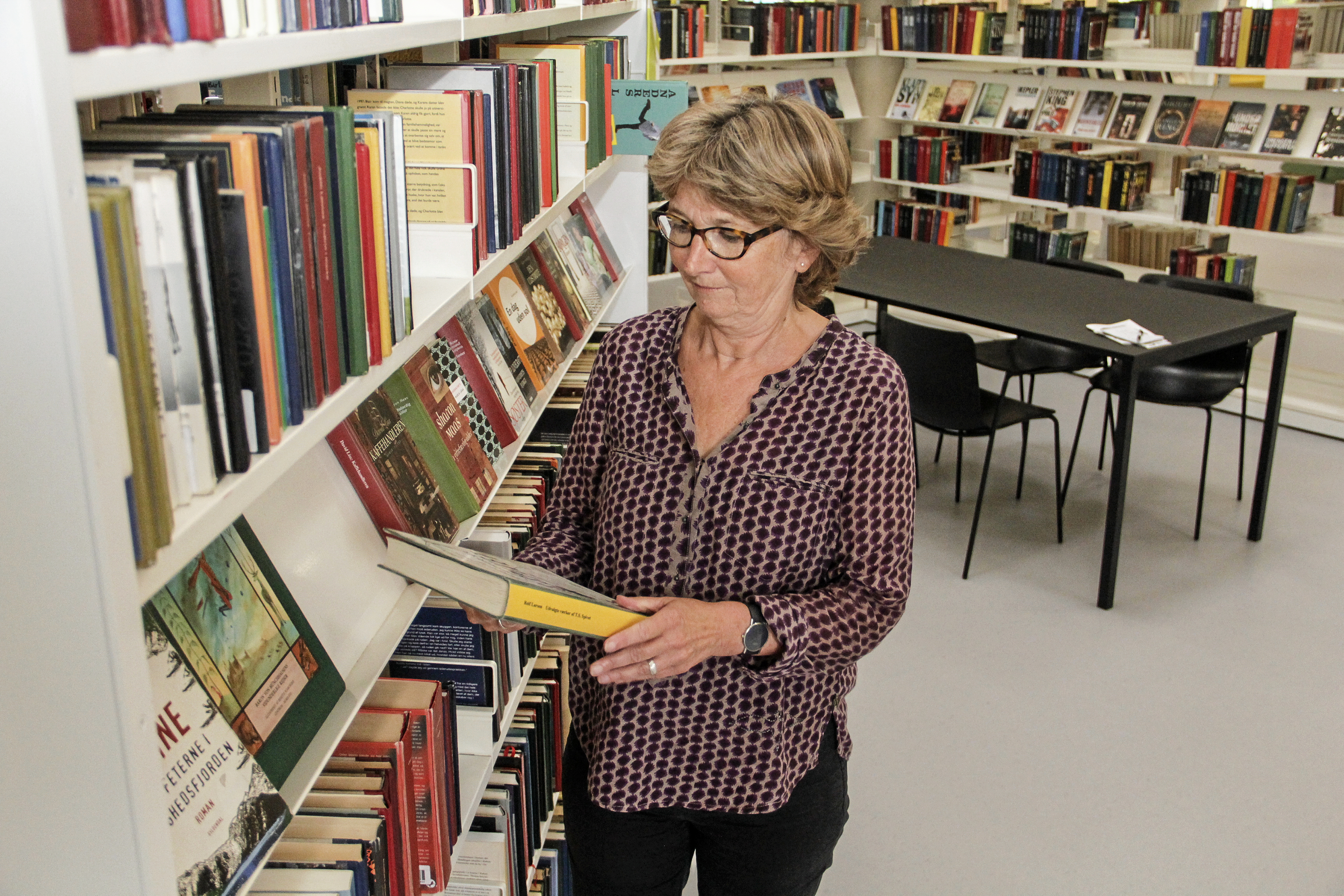 Hørsholm Bibliotek har lavet en top 10 over de mest lånte børne- og voksenbøger i 2025.