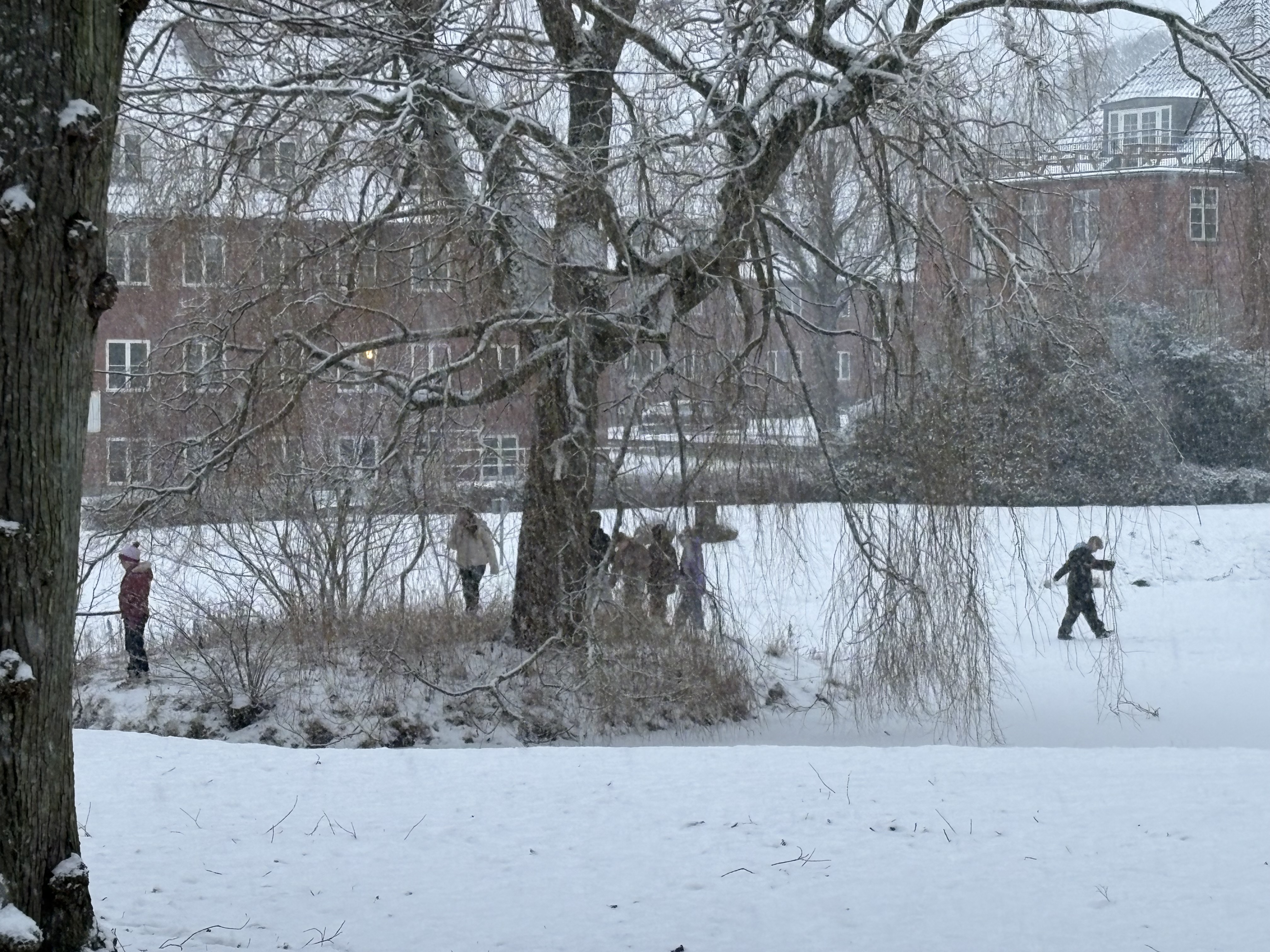 Isen er ikke åbnet og ikke sikker, advarer kommunen. Alligevel færdes borgere allerede på søerne.
