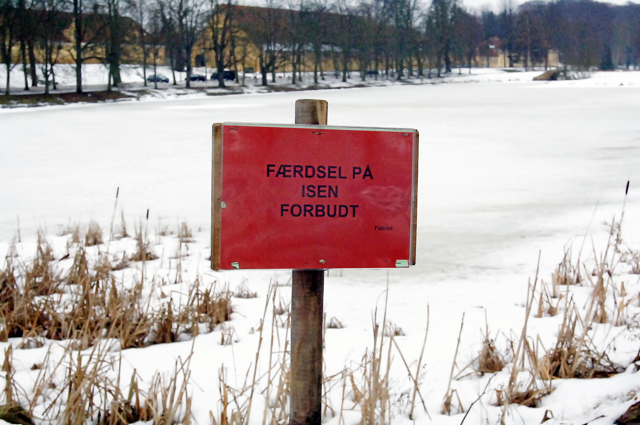 Istykkelsen på Hørsholm Slotssø bliver tykkere for hver dag, men den er i dag fredag ikke klar til skøjtetur og færdsel, lyder meldingen fra driftschefen på Hørsholm Materielgård.