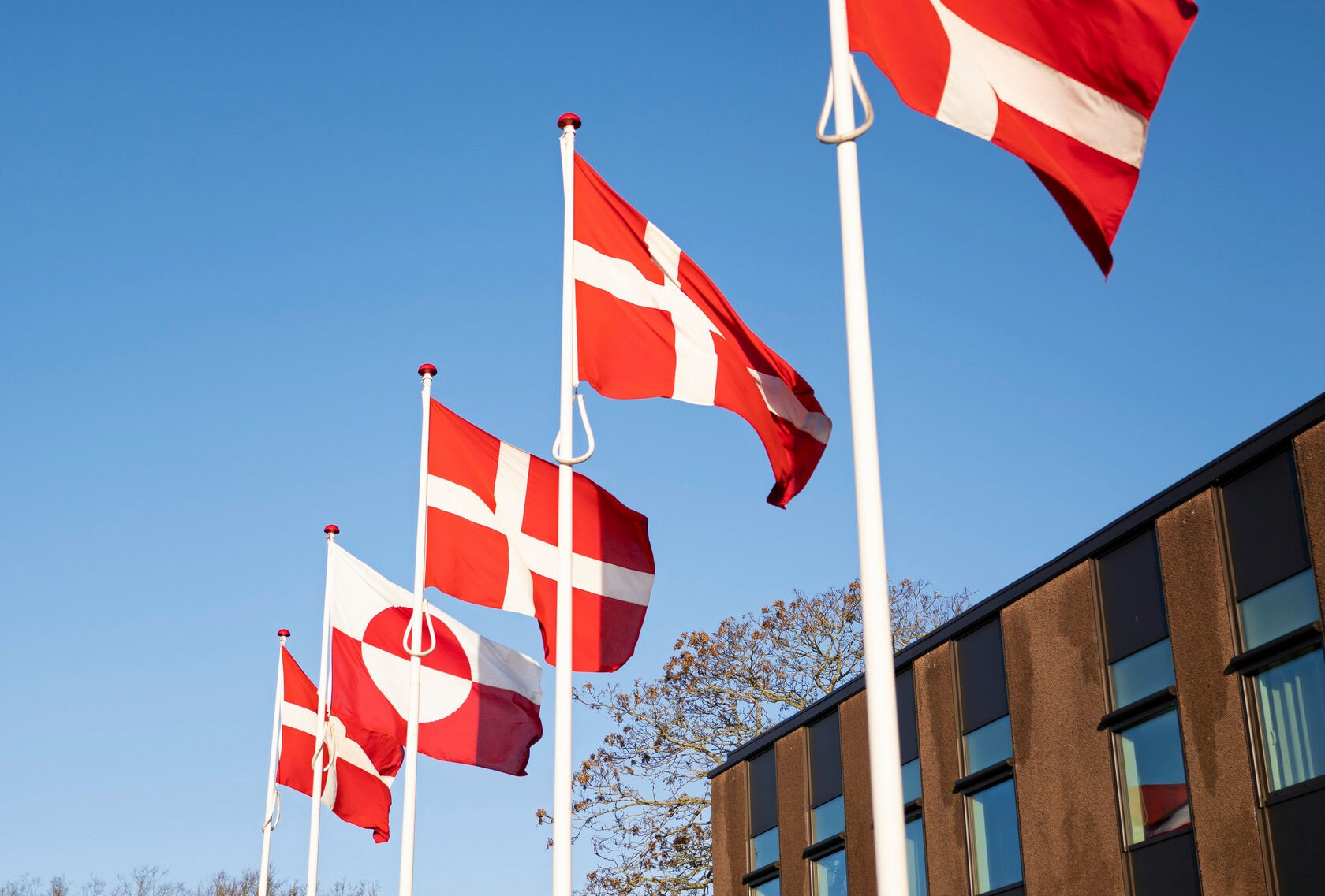 Det grønlandske flag har sneget sig ind mellem Dannebrog på Ballerup Rådhus.