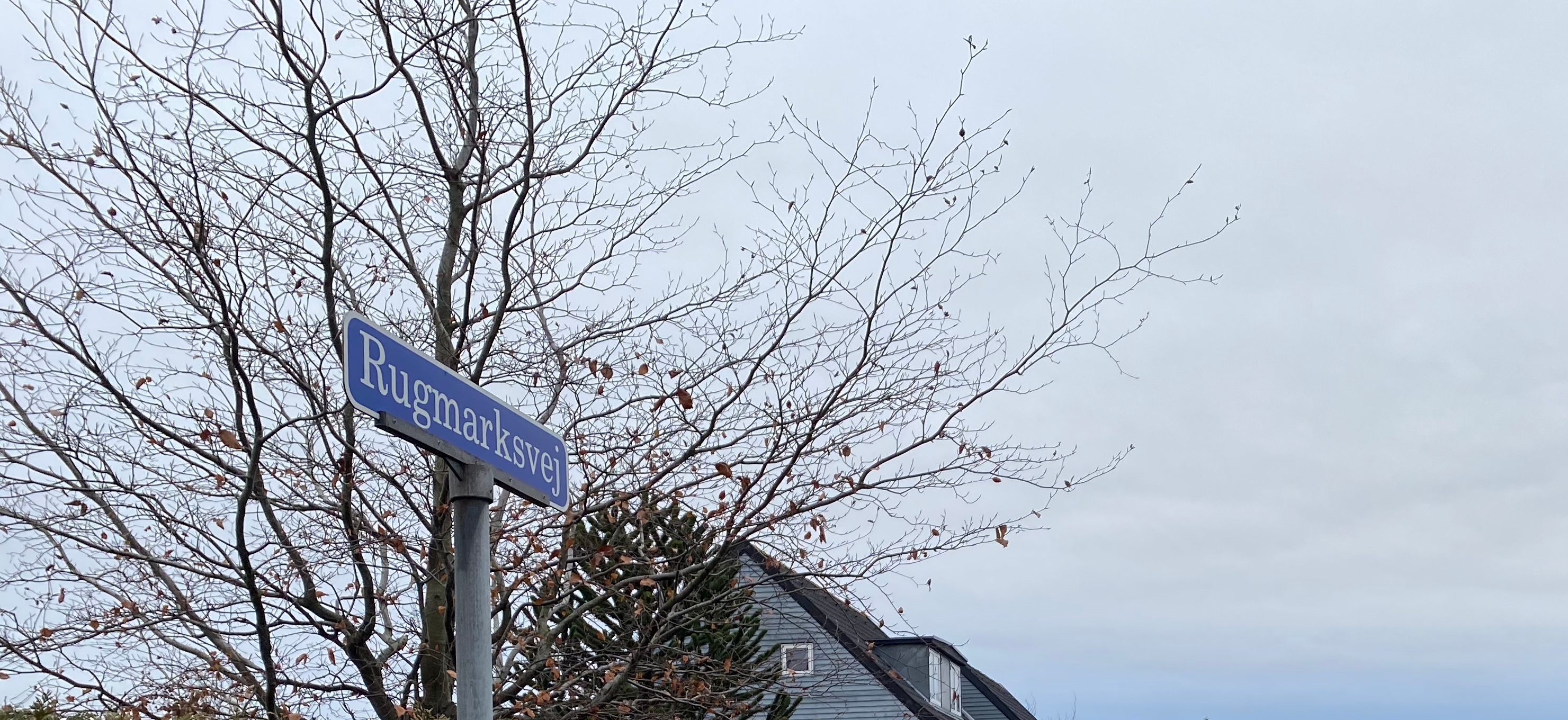 Det første voldtægtsforsøg skete ifølge politiet et sted på Rugmarksvej i Brøndby tidligt om morgenen den 6. april sidste år. - Morten D. Christensen Det første voldtægtsforsøg skete ifølge politiet et sted på Rugmarksvej i Brøndby tidligt om morgenen den 6. april sidste år.