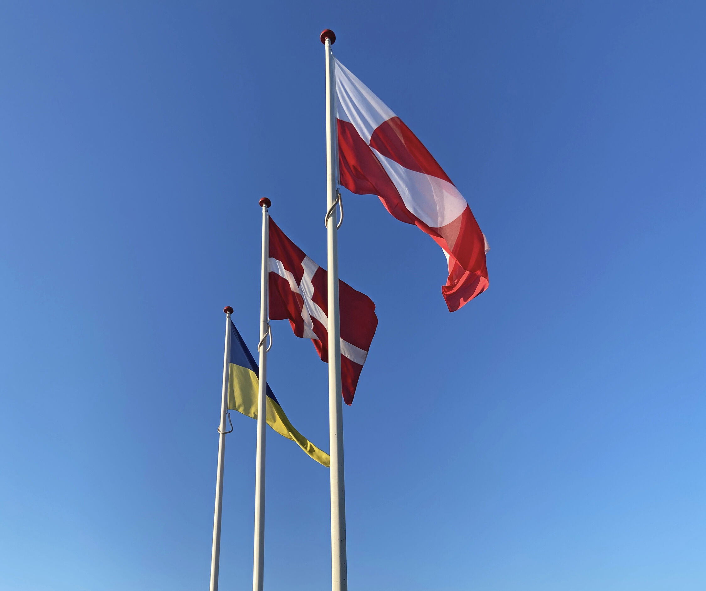 Det ukrainske, danske og grønlandske flag vajer nu ved rådhuset.