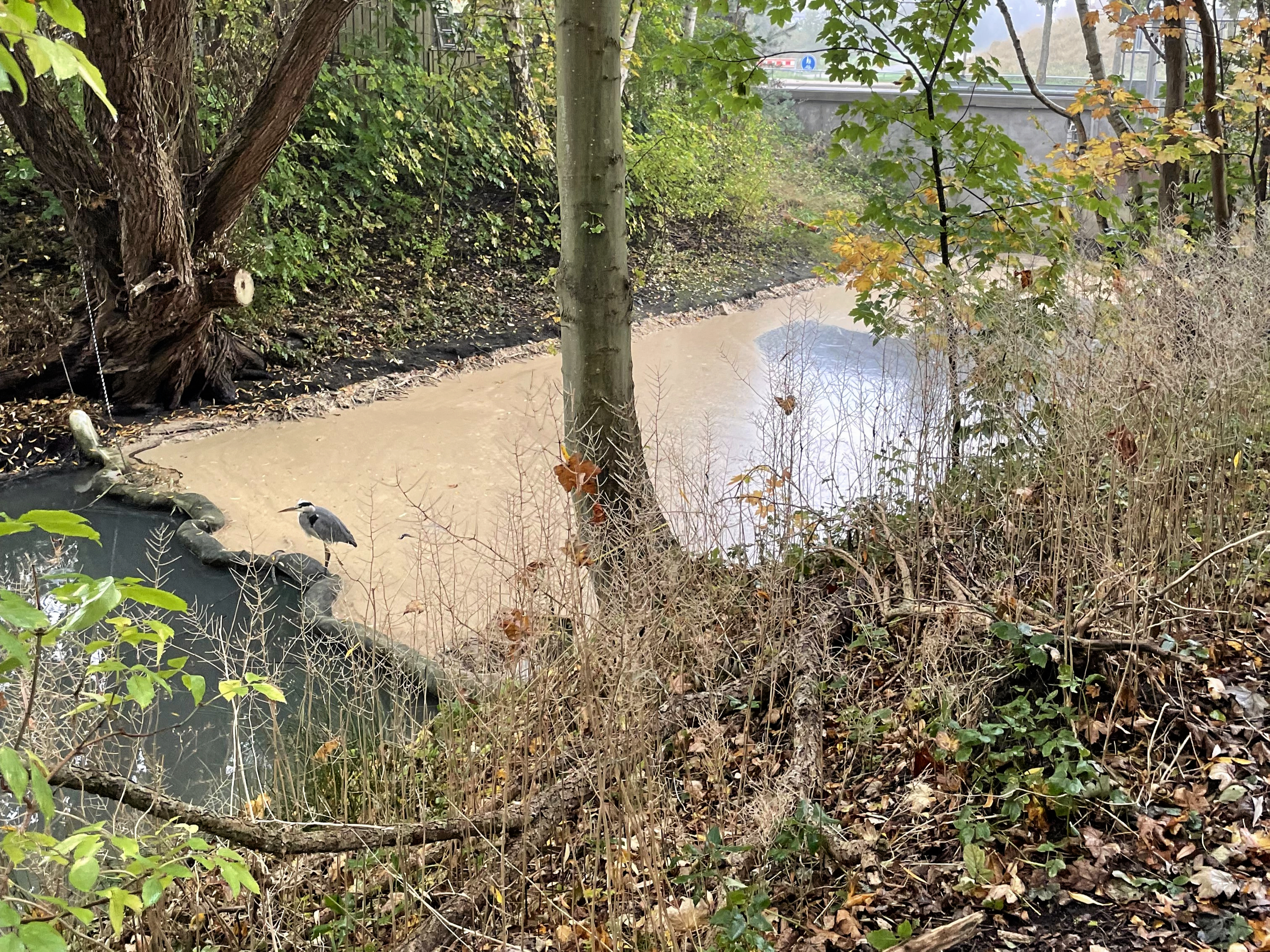 En af de utallige gange med forurening i bækken.