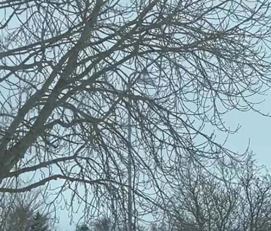 Snefygningen gør det forsat svært at holde vejene snefri. Billedet her er taget i Hårlev lørdag formiddag. (Screenshot fra video, optaget med dash-cam.) - Kathrine Harvey Snefygningen gør det forsat svært at holde vejene snefri. Billedet her er taget i Hårlev lørdag formiddag. (Screenshot fra video, optaget med dash-cam.)