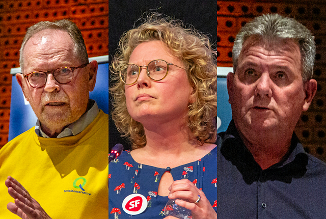 Thorkild Gruelund (SK), Louise Zabel (SF) og Henrik Klitgaard (BL) kritiserer flertallet for, at de ikke må være med til ansættelsen af en ny kommunaldirektør i Hørsholm, fordi de ikke har plads i Økonomiudvalget.