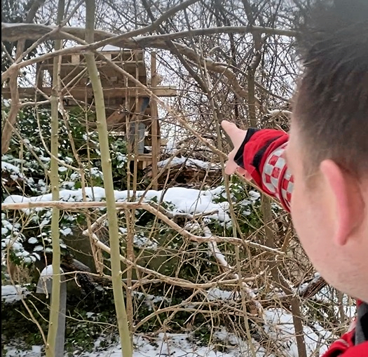Ud over flagermus er der en særlig edderkop i den gamle bunker. Et væltet træ i den fredede skov spærrer indgangen.