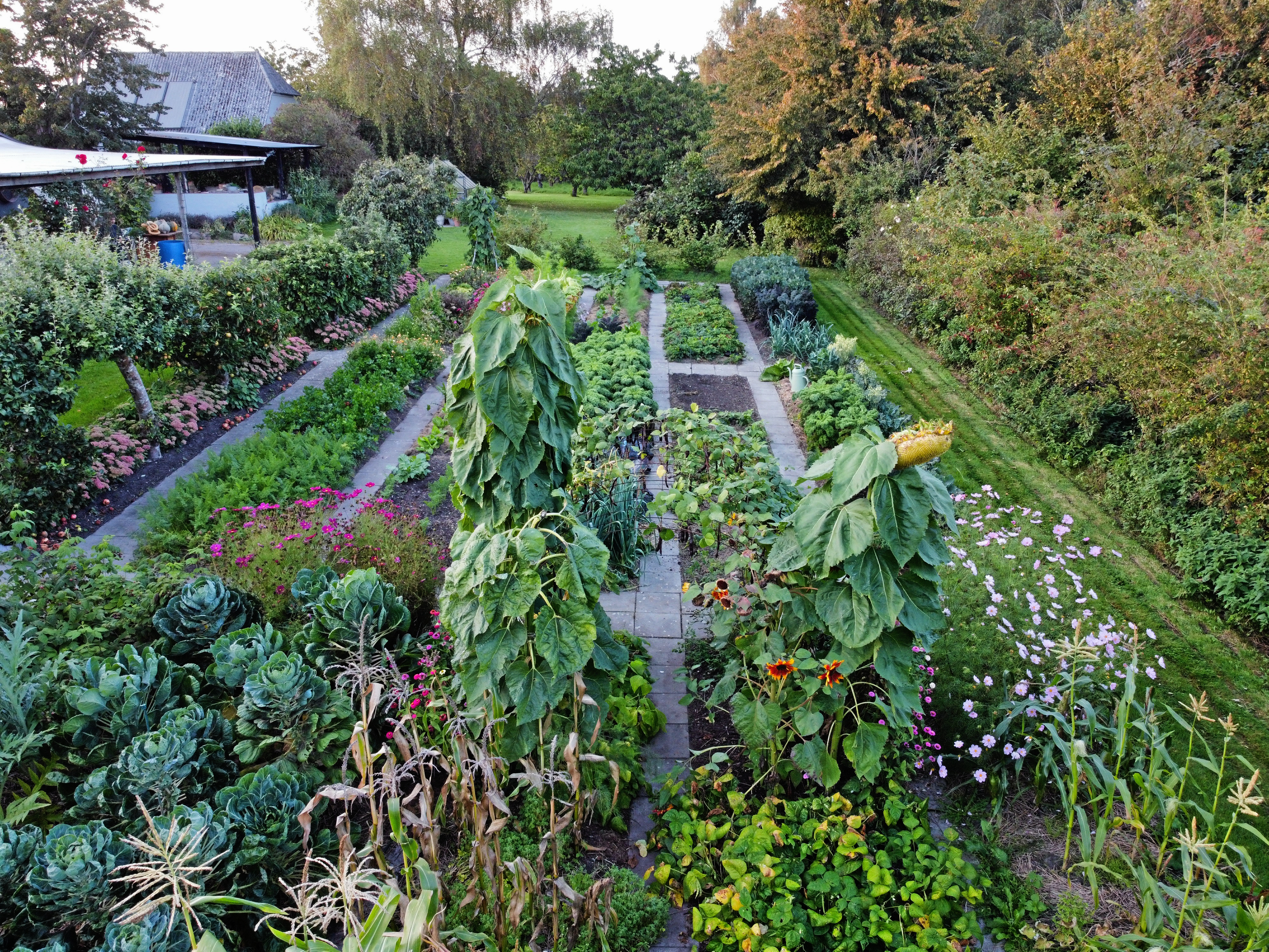 I sin produktive køkkenhave arbejder Yen Frydensberg Egebak med minimal jordbearbejdning, biodiversitet og jordens sundhed.