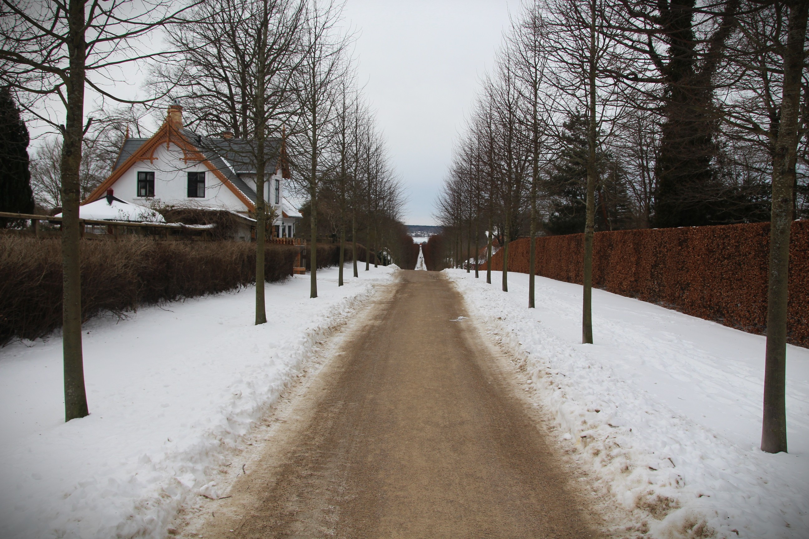 Chancerne for at se en ugle i Fredensborg Slotshave er måske blevet lidt større, efter at kongehuset har opsat en 'uglelejlighed'.