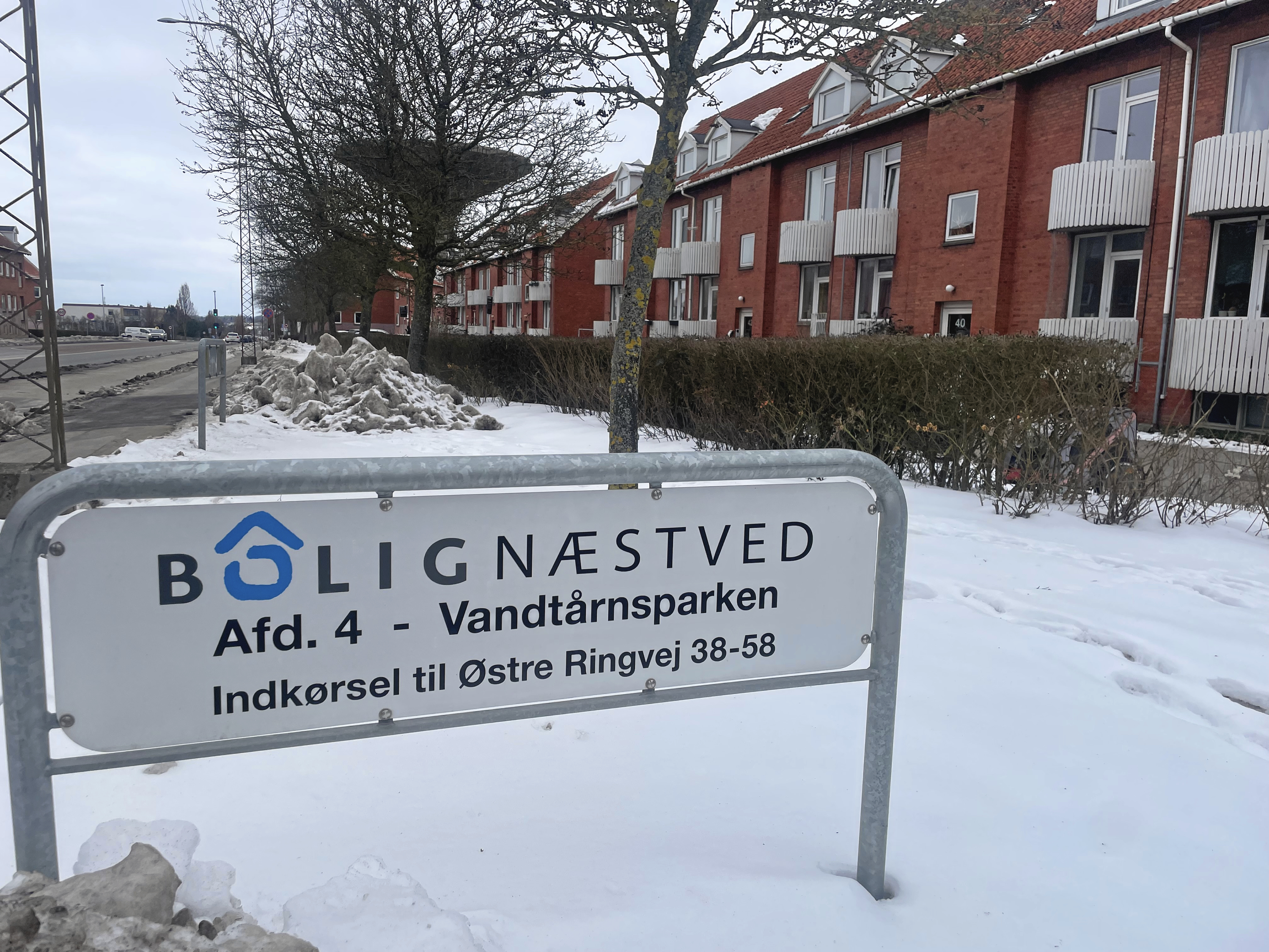 Helhedsplanen for renovering af Vandtårnsparken er stukket helt af.
