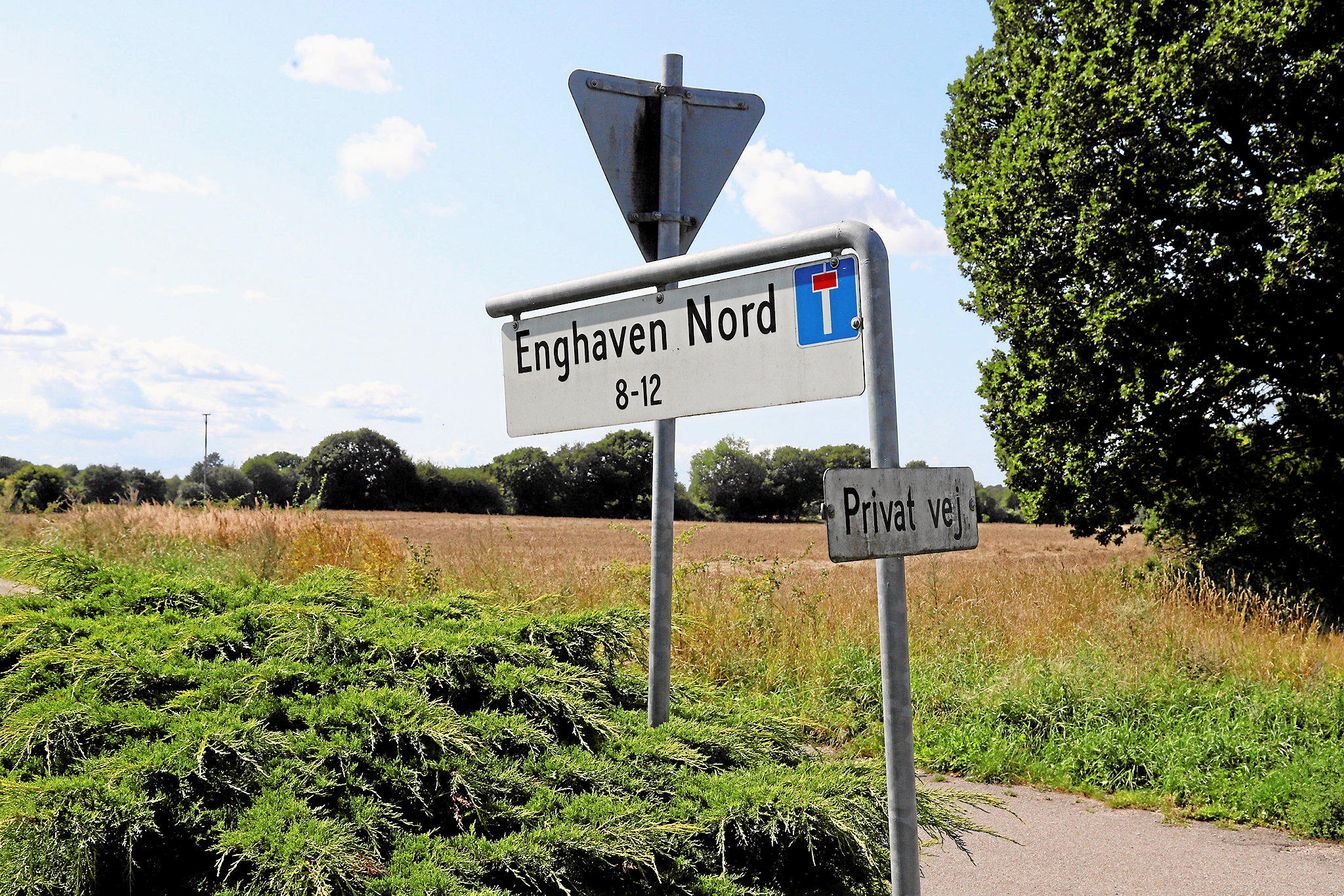 Det er naturen ved områder som Ny Allerødgårds Jorder og Enghaven Nord, der gør Allerød attraktiv, mener borger.