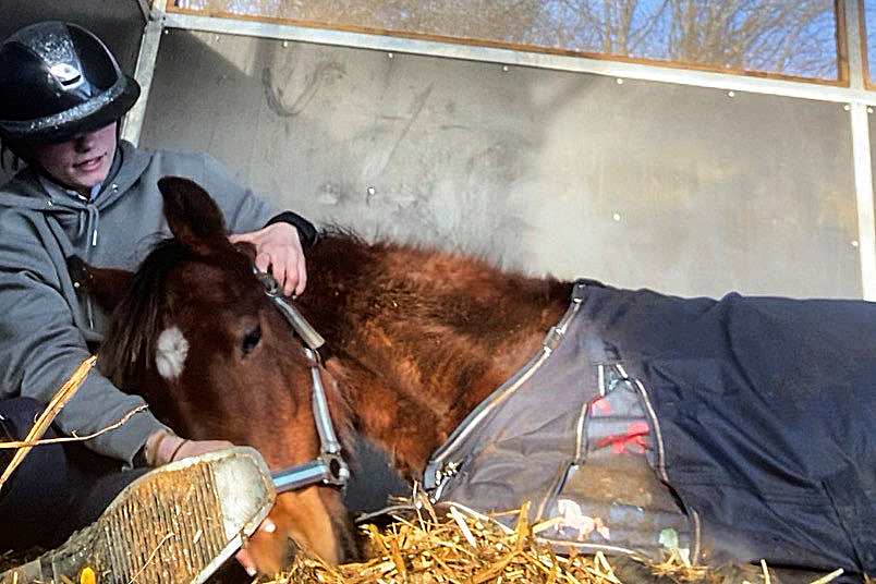 Emilie Seemholt fra Ledøje er klar med et nyt fritidstilbud for dyreglade børn.