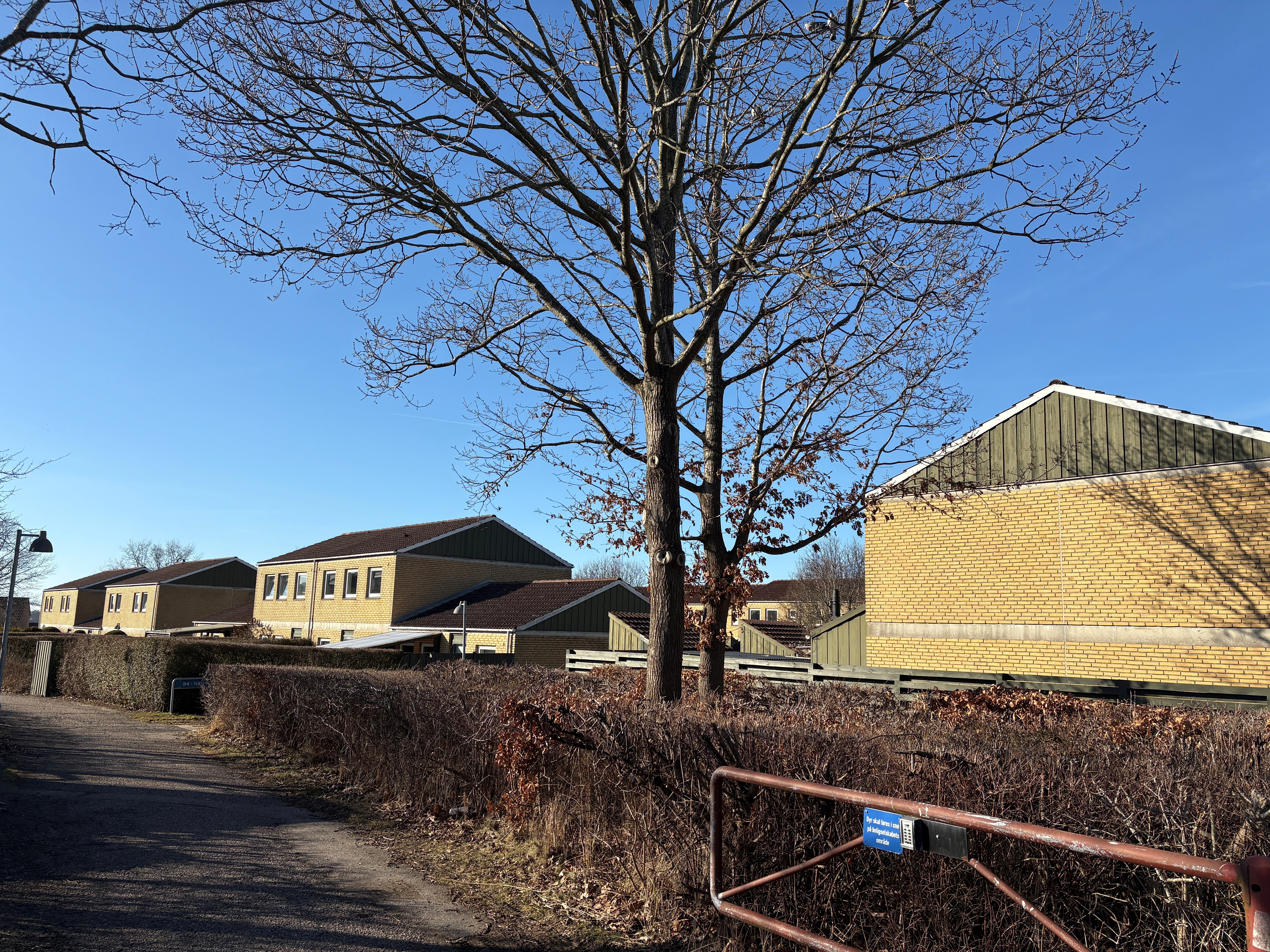 Nu har Beboerklagenævnet givet flere beboere i de almene lejeboliger i Græse Bakkeby medhold i deres klager. Nævnet kritiserer blandt andet uklare og mangelfulde fakturaer fra Vores Bolig.
