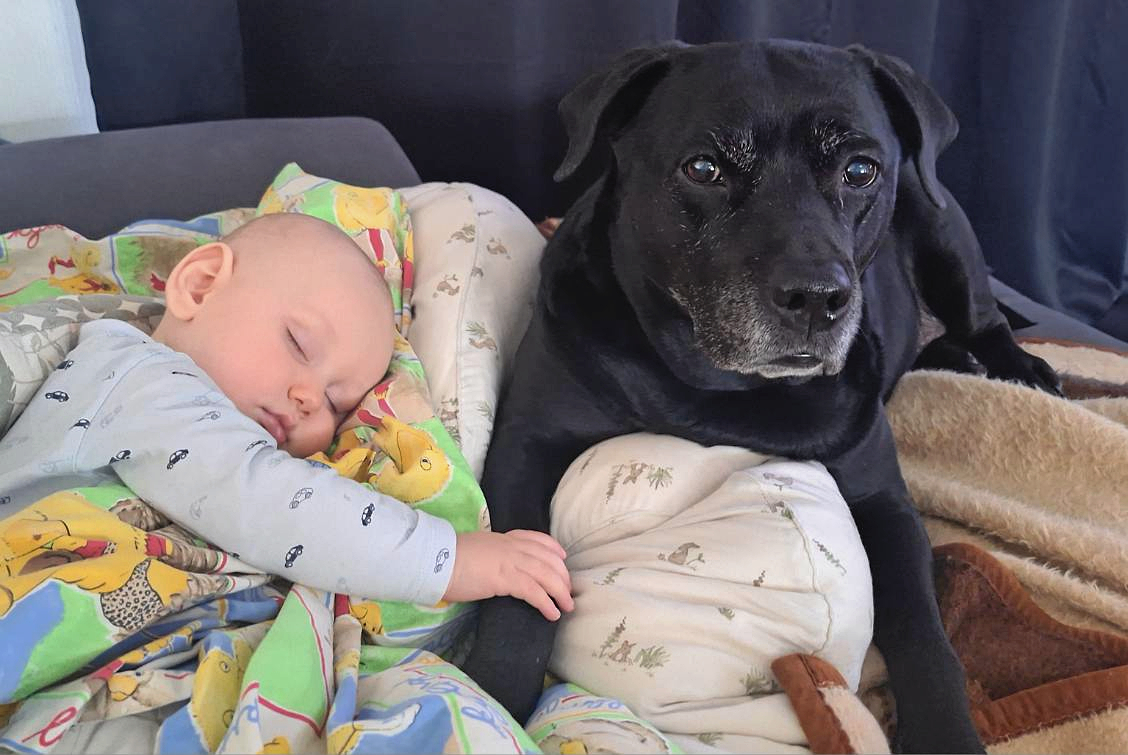 Familien, som lige nu ikke aner, hvor de kan bo, består blandt andre af lille Arthur på otte måneder og hunden Molly.