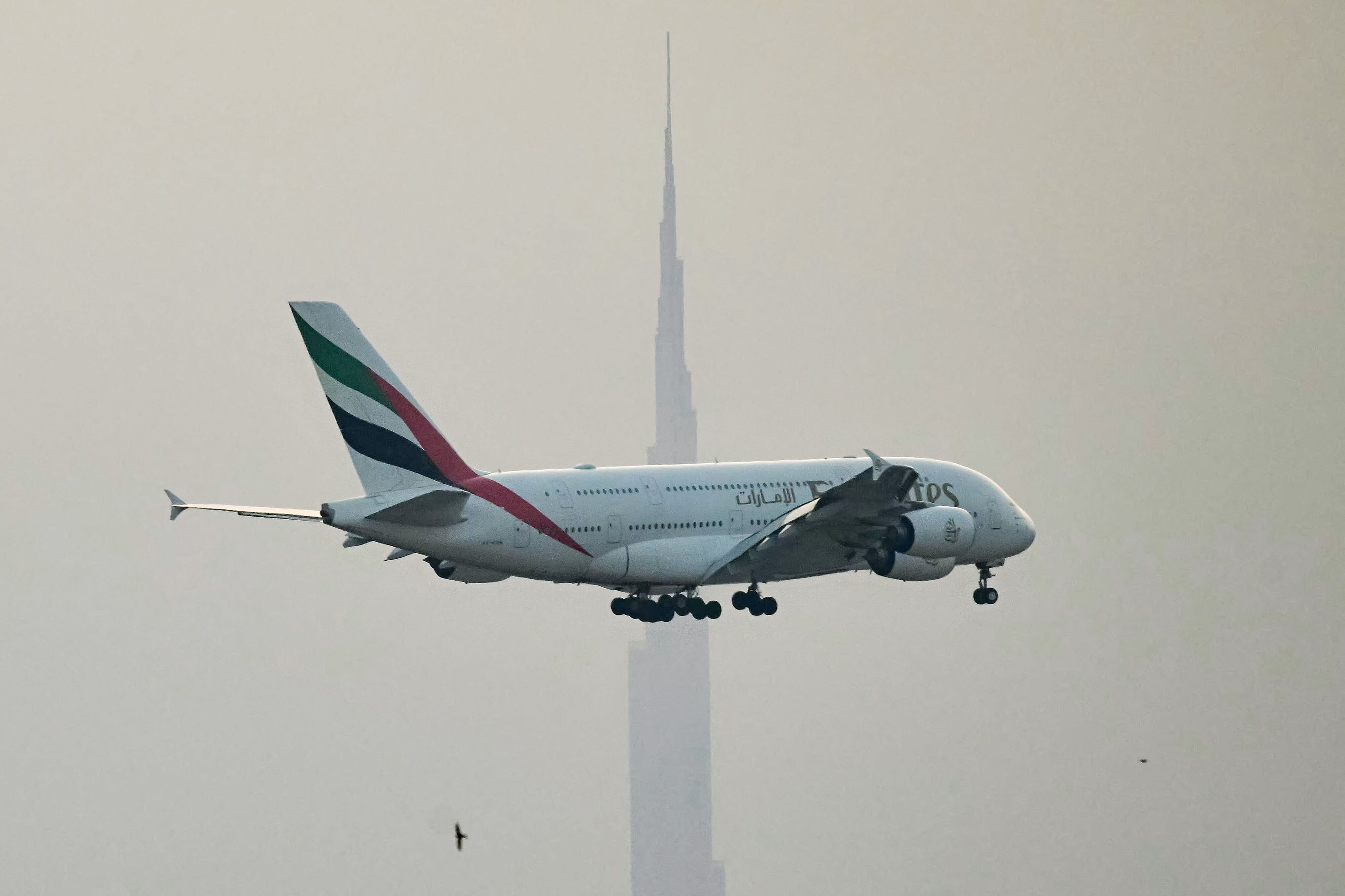 Der er ikke planlagt flere særfly fra Dubai i De Forenede Arabiske Emirater til København, men der er fortsat kommercielle afgange med selskabet Emirates fra Dubai, påpeger Udenrigsministeriet. (Arkivfoto).