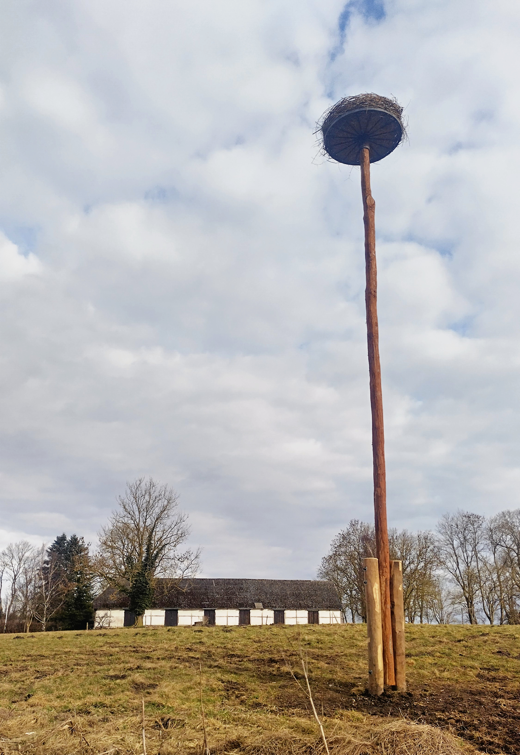 Da Kongsgaarden modtog Sorø Kommunes Miljøpris i 2023 og de 5000 kroner, besluttede ejerne at bruge pengene på et initiativ, der skaber mere natur og gavner miljøet. De valgte hurtigt at anlægge en storkerede, fordi området ved åens enge kunne give storke gode muligheder.