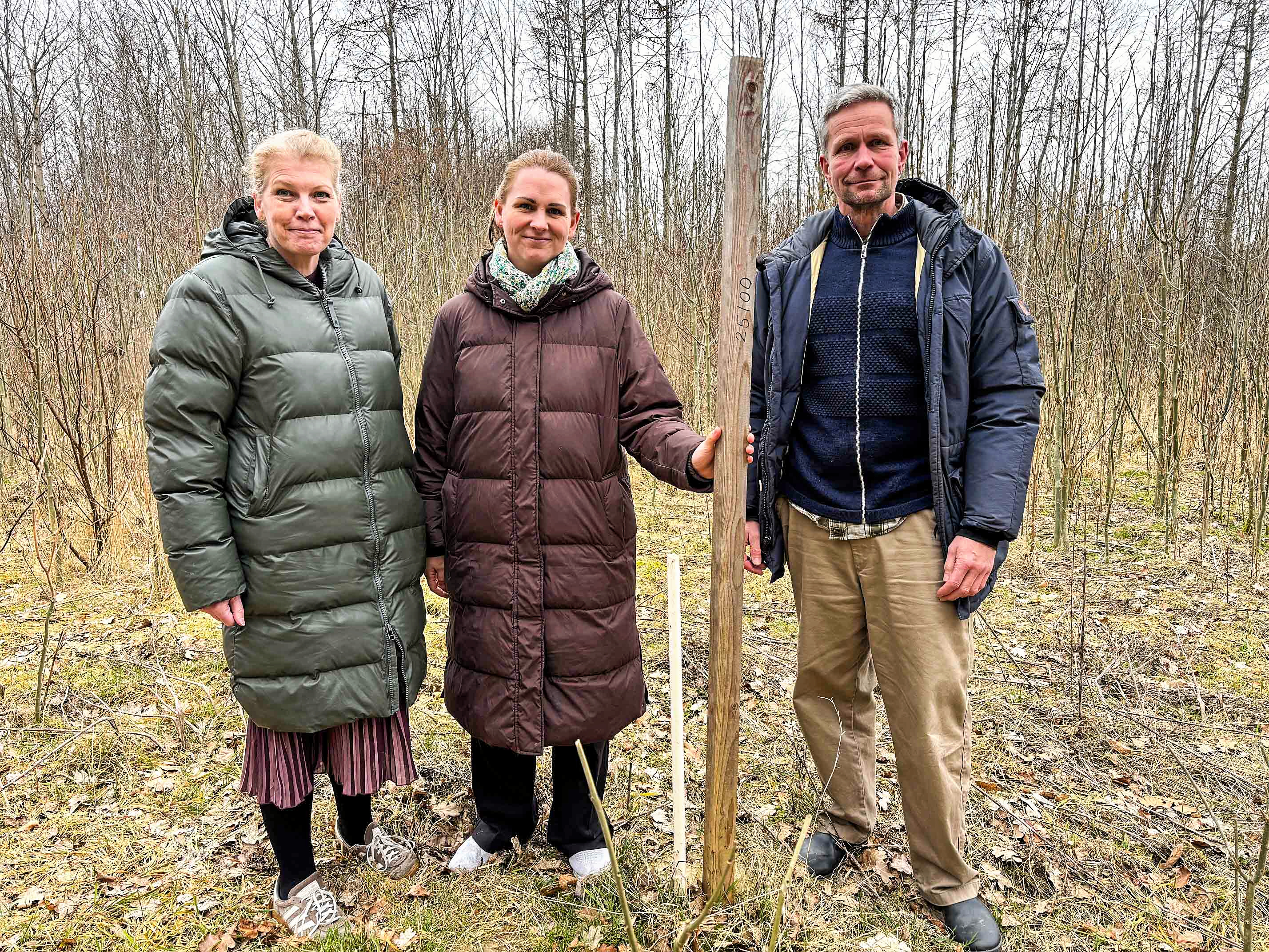 Jacob Stene tog torsdag eftermiddag Egedal-borgmester Birgitte Neergaard-Kofod (til venstre) og Folketingskandidat Mette Abildgaard (K) med ud i hans tyve hektar store fredskov, som kan blive ødelagt af den nye tilkørselsvej til Frederikssundsmotorvejens forlængelse.