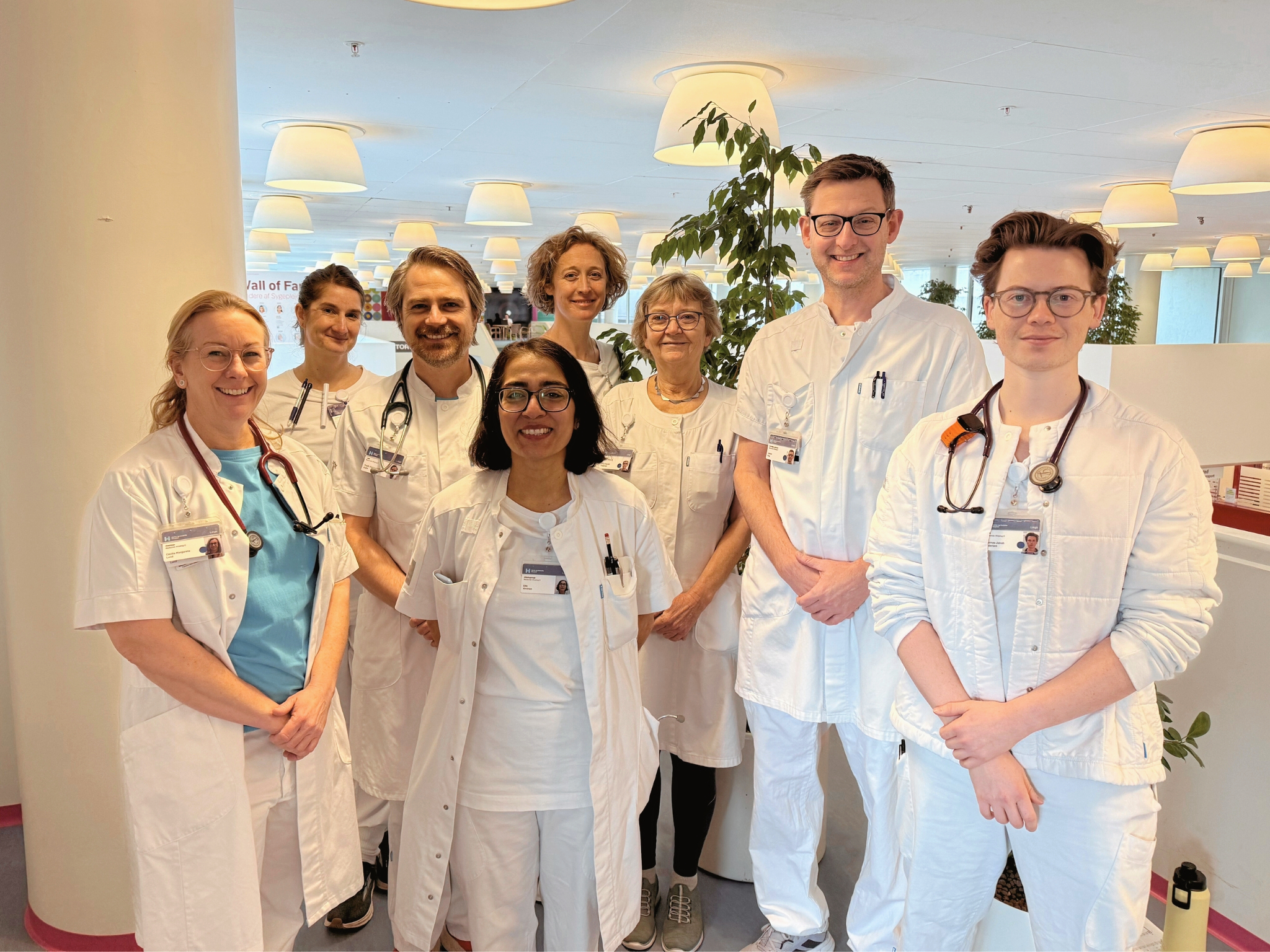 TOPP skal samle geriatriske læger og kirurger om præoperativ vurdering på Herlev og Gentofte Hospital.
