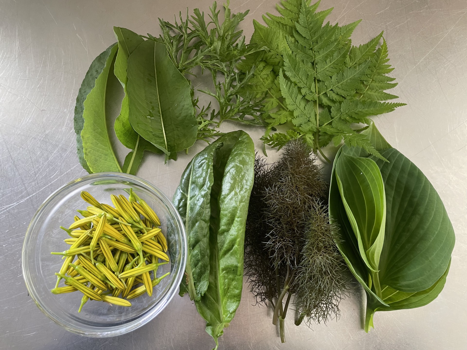 Der er meget glæde at hente, både for mennesker og natur, i at indrette dit staudebed med spiselige planter, lyder det fra vores have-klummeskribent. Her er ingredienserne til en skovhavesalat en tilfældig dag i maj 2025.