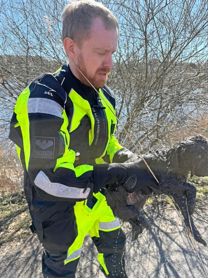 Hund blev reddet oo af Teglgårdssøen. - Frederiksborg Brand & Redning Hund blev reddet oo af Teglgårdssøen.