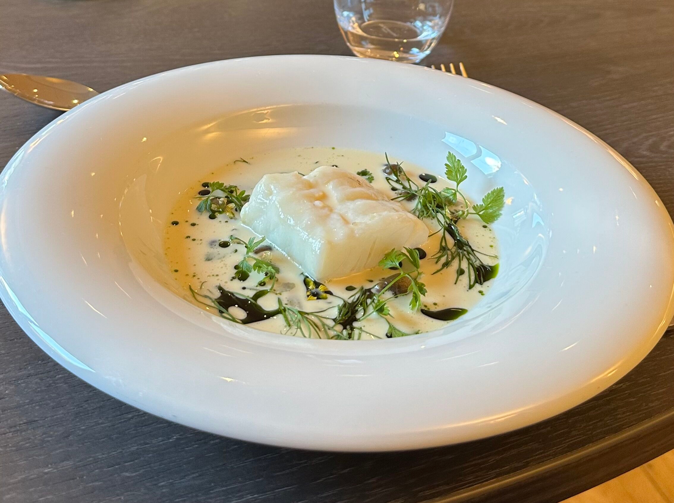 Dampet kuller på en bund af fennikel og friske urter overhældt med en luftig blanquette-sauce på blåmuslinger kunne godt være Martin Jensens personlighed på en tallerken.. - Morten Chas Overgaard Dampet kuller på en bund af fennikel og friske urter overhældt med en luftig blanquette-sauce på blåmuslinger kunne godt være Martin Jensens personlighed på en tallerken..